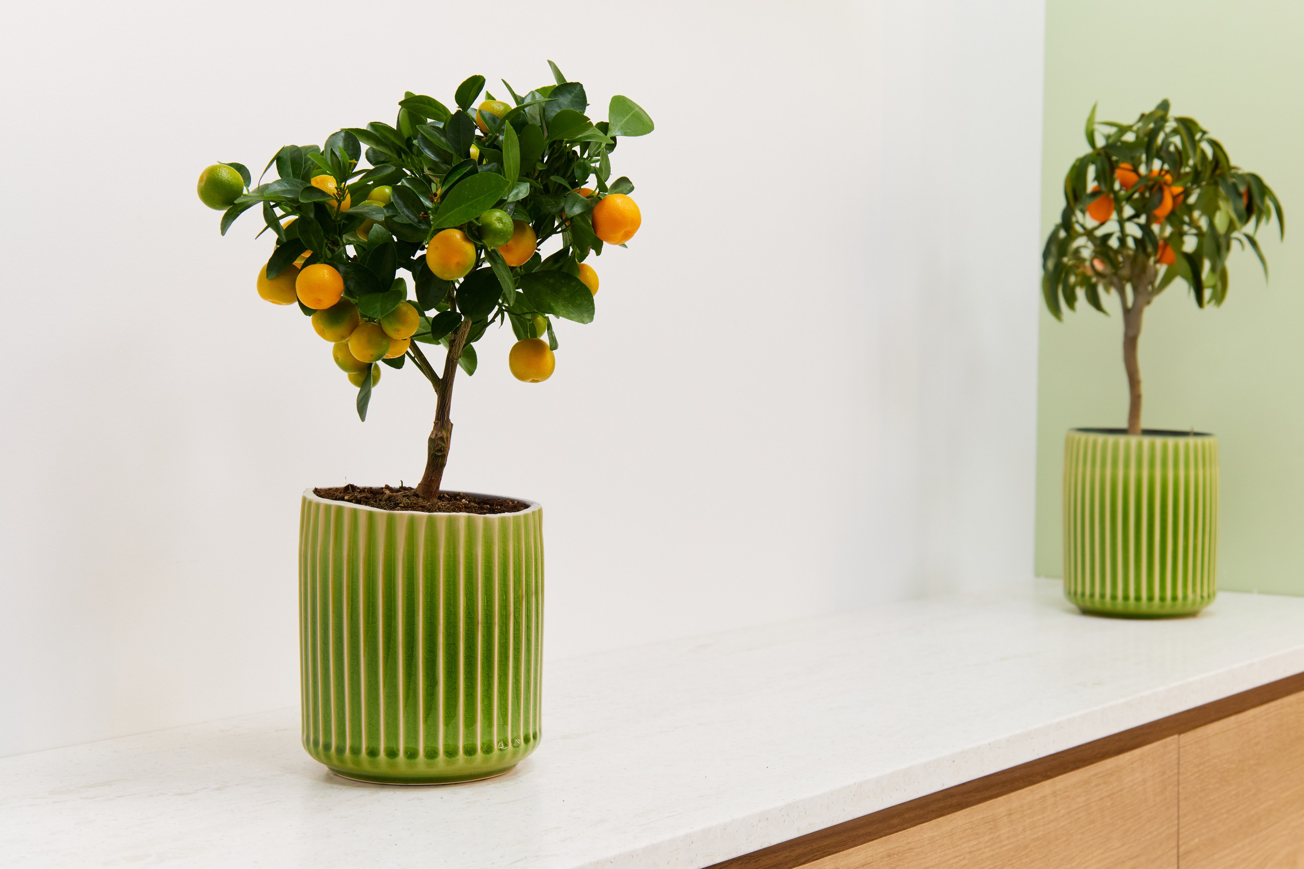 Съемка для клиник