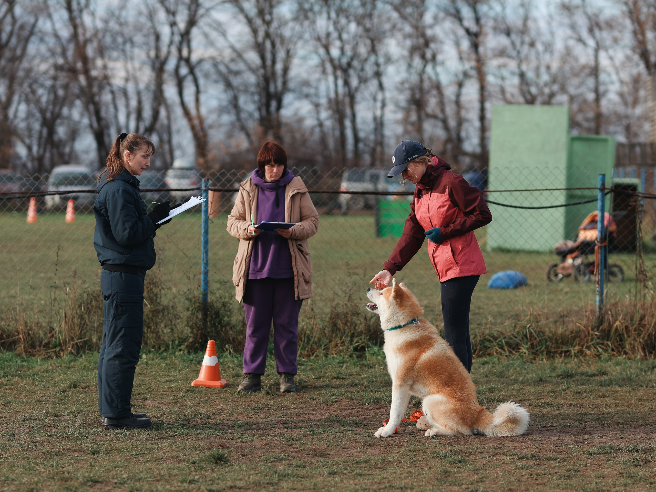 Соревнования BH. Фотограф-анималист в Москве Кириллова Татьяна