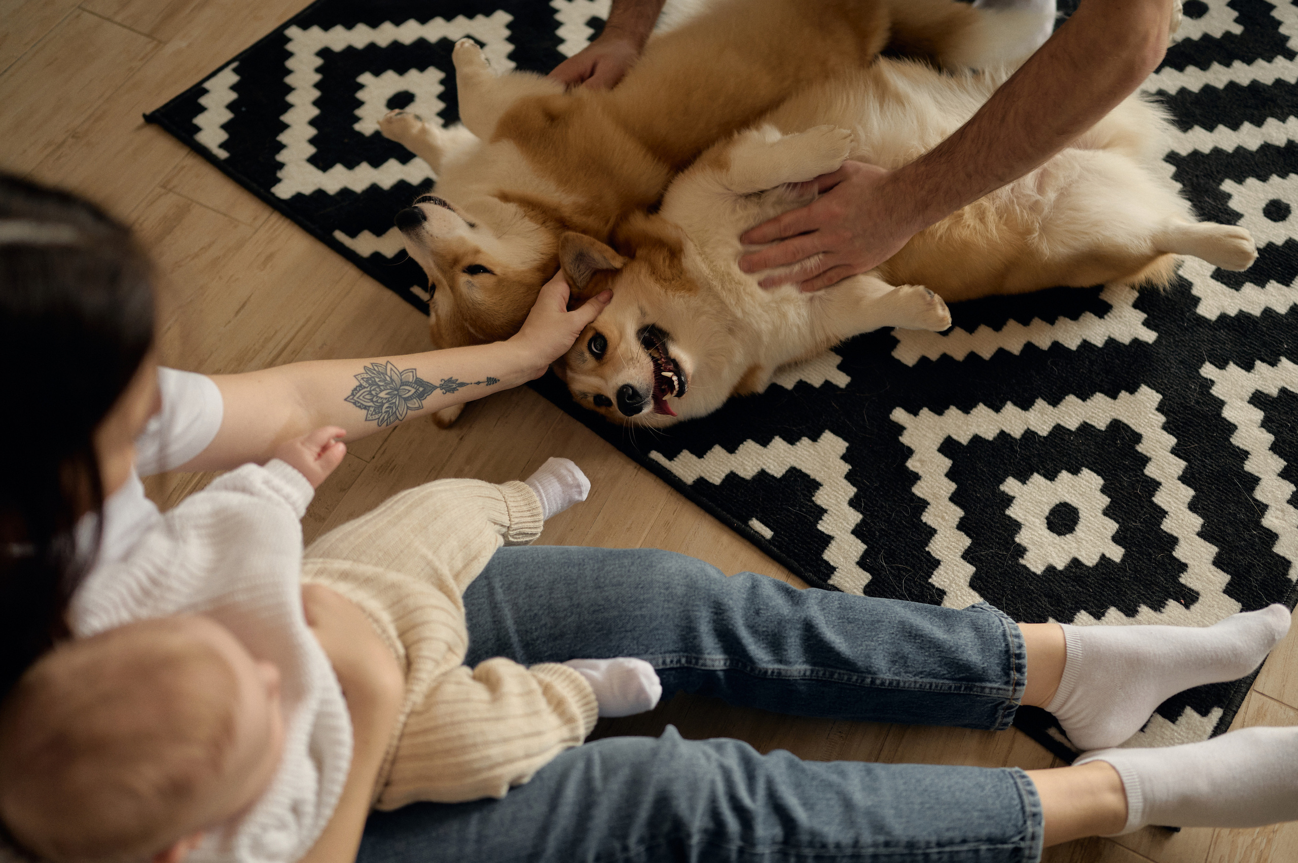 Марк, Мария, Космос и пушистые :). Свадебный и семейный фотограф в Ростове-на-Дону