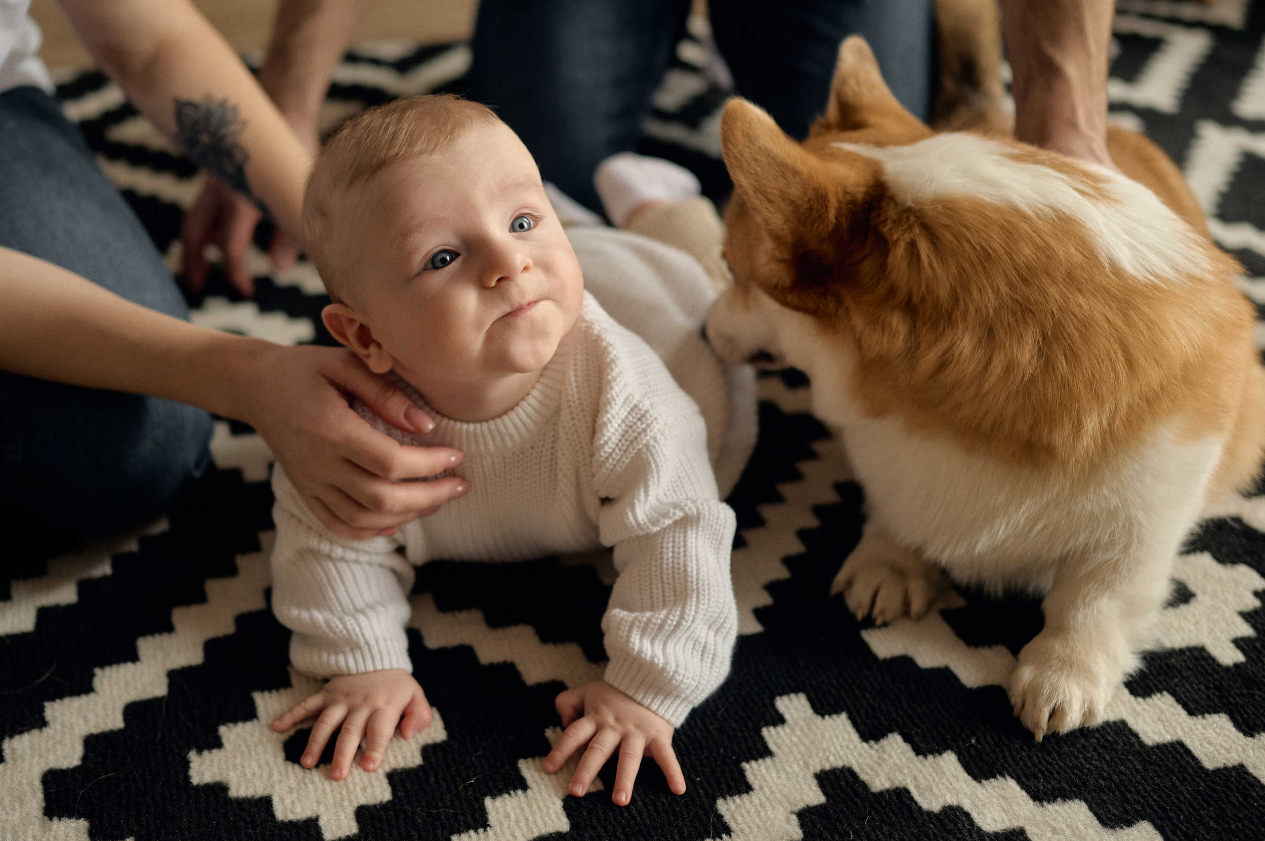 Марк, Мария, Космос и пушистые :). Свадебный и семейный фотограф в Ростове-на-Дону