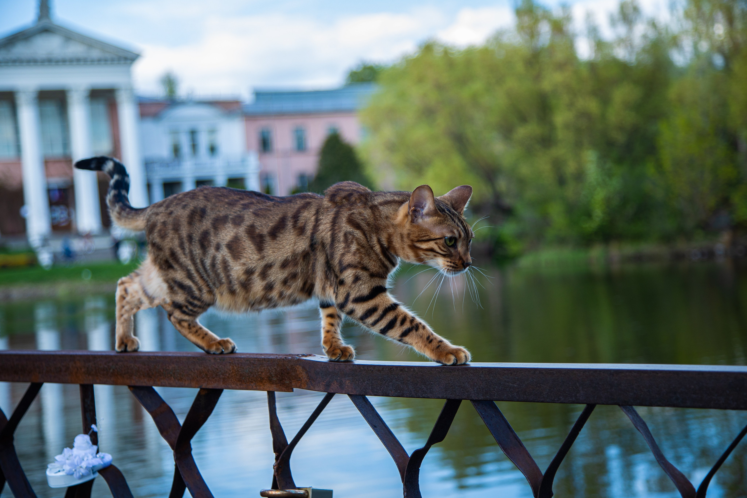 Про жизнь. Фотограф Сергей Ловкий