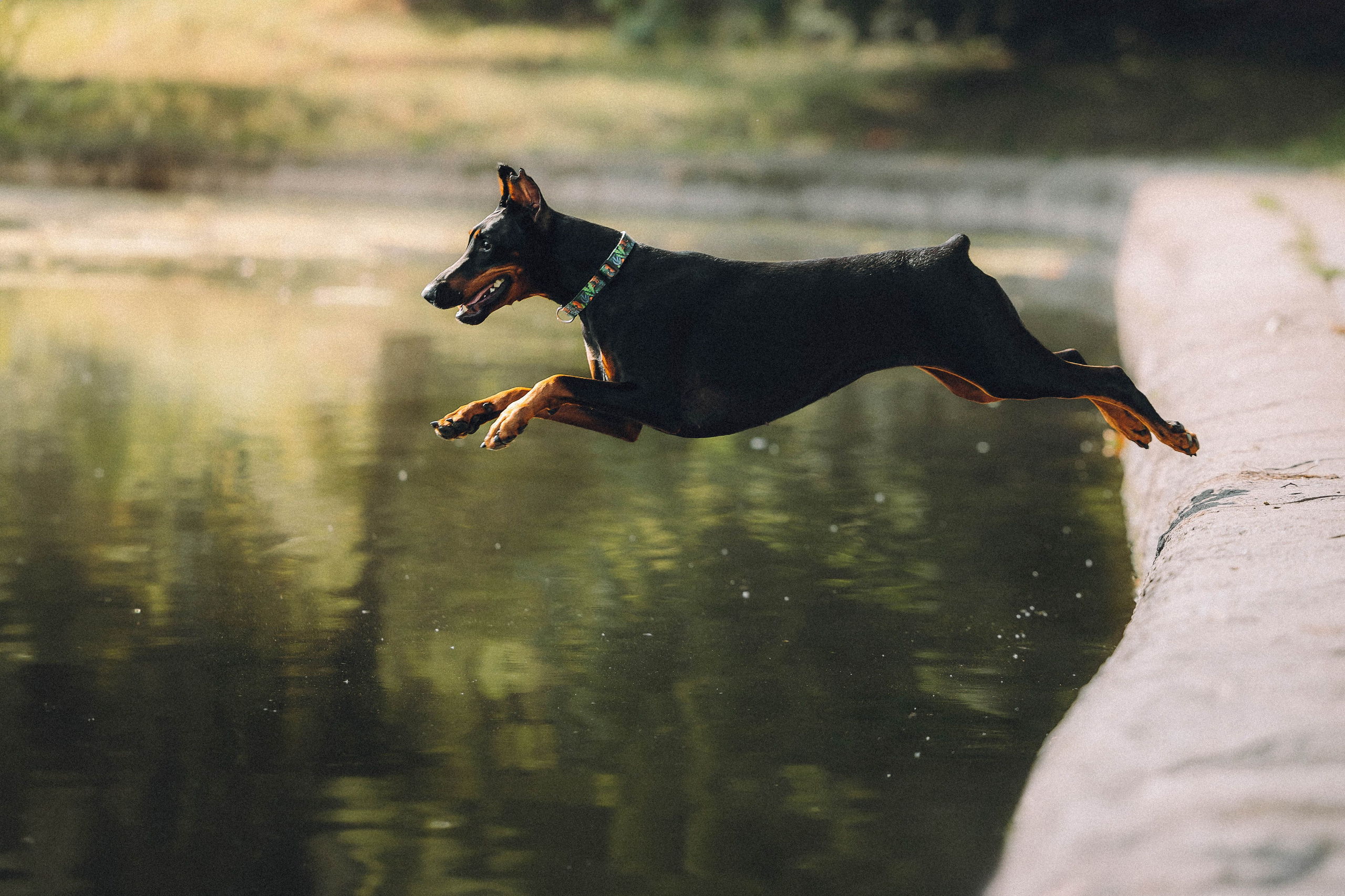 Паша и Хайди