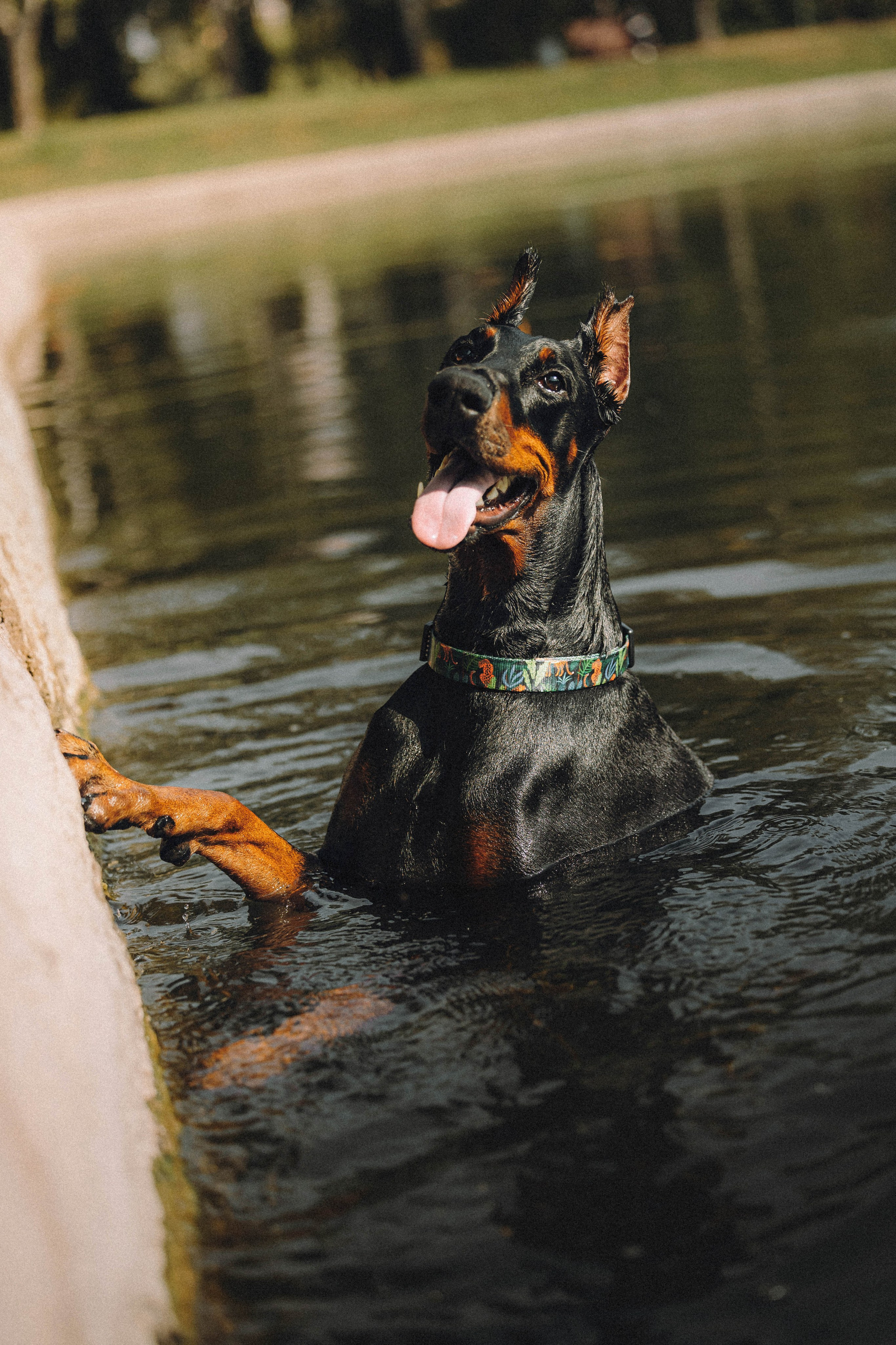 Паша и Хайди