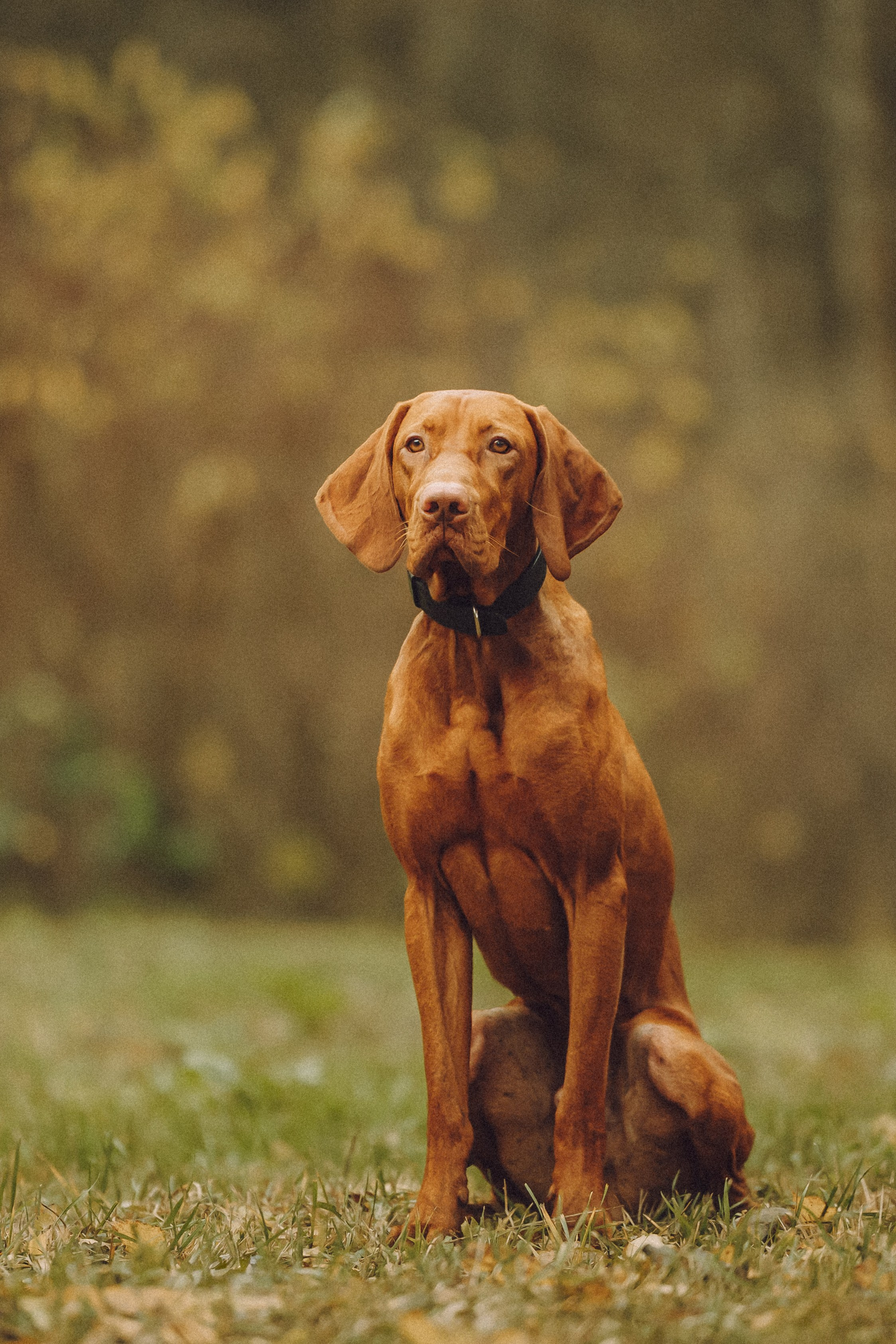 Дориан и его семья