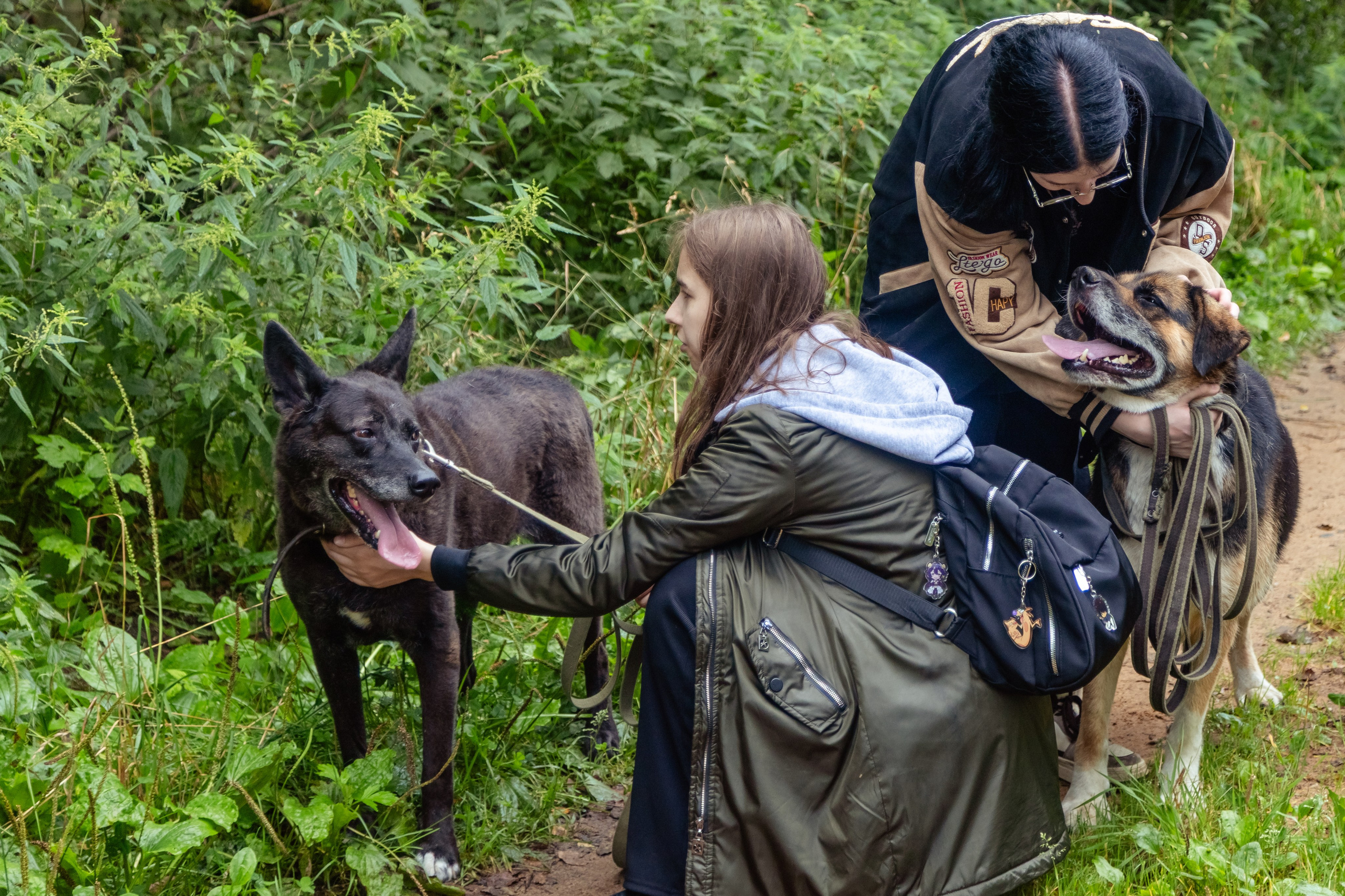 Petshop Забота. Фотограф в Санкт-Петербурге Чумаков Семен
