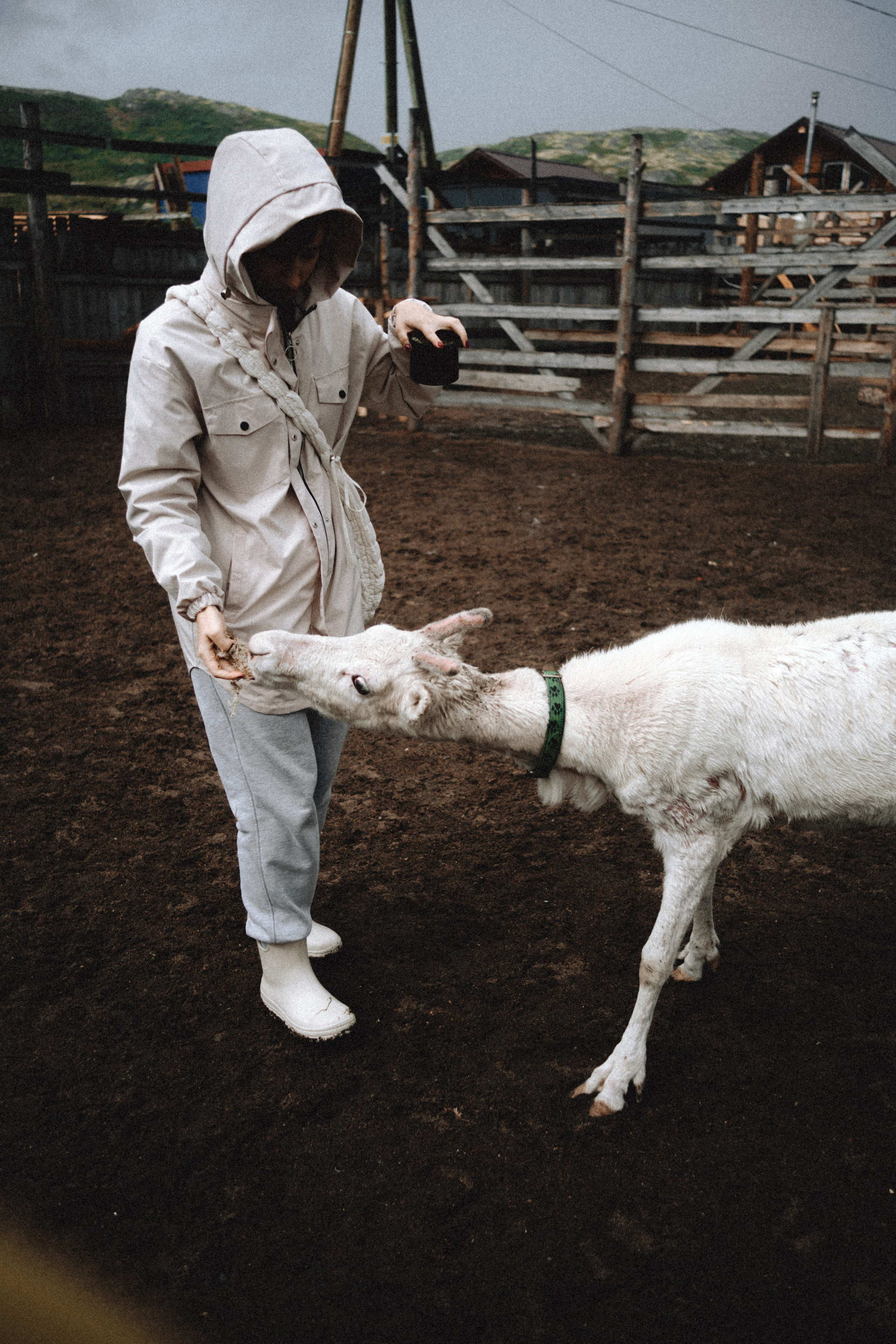 Териберка, Мурманск. Фотосъёмка для компании по организации туров в коллаборации с Яндекс 360