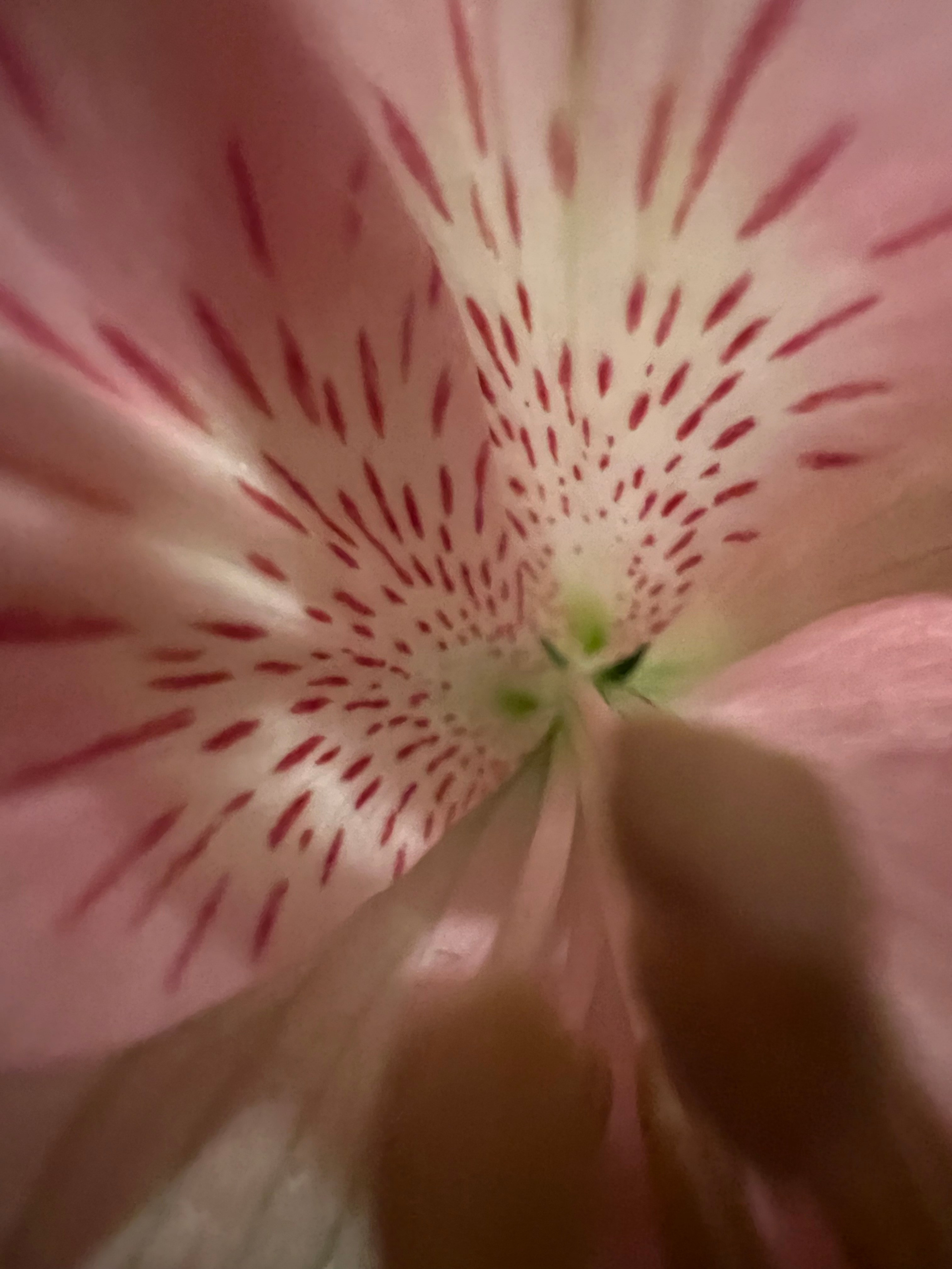 Fragments. Artem Khusainov