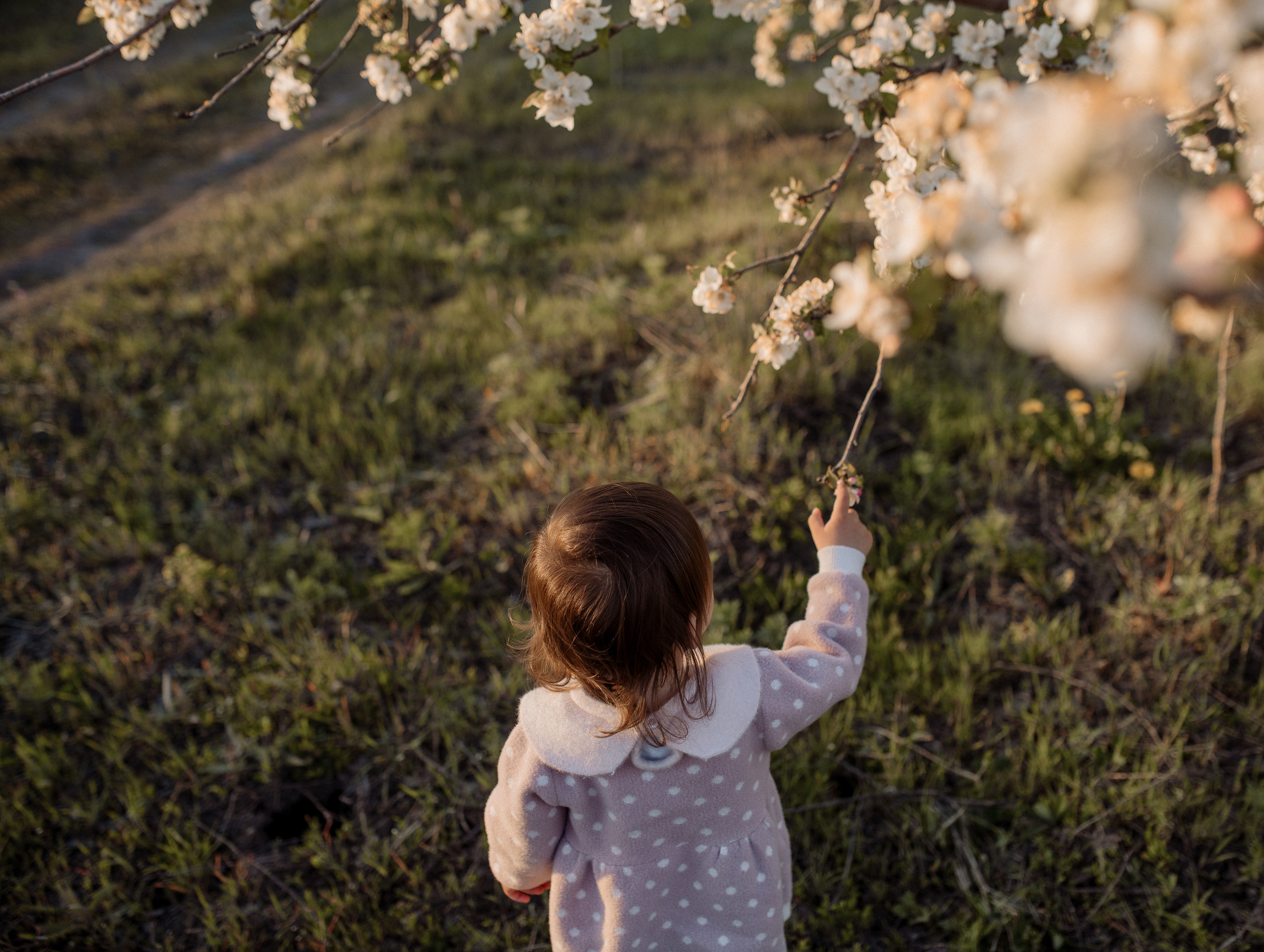 Ирина и Алиса — цветущие сады. Фотограф Мария Стрелкова