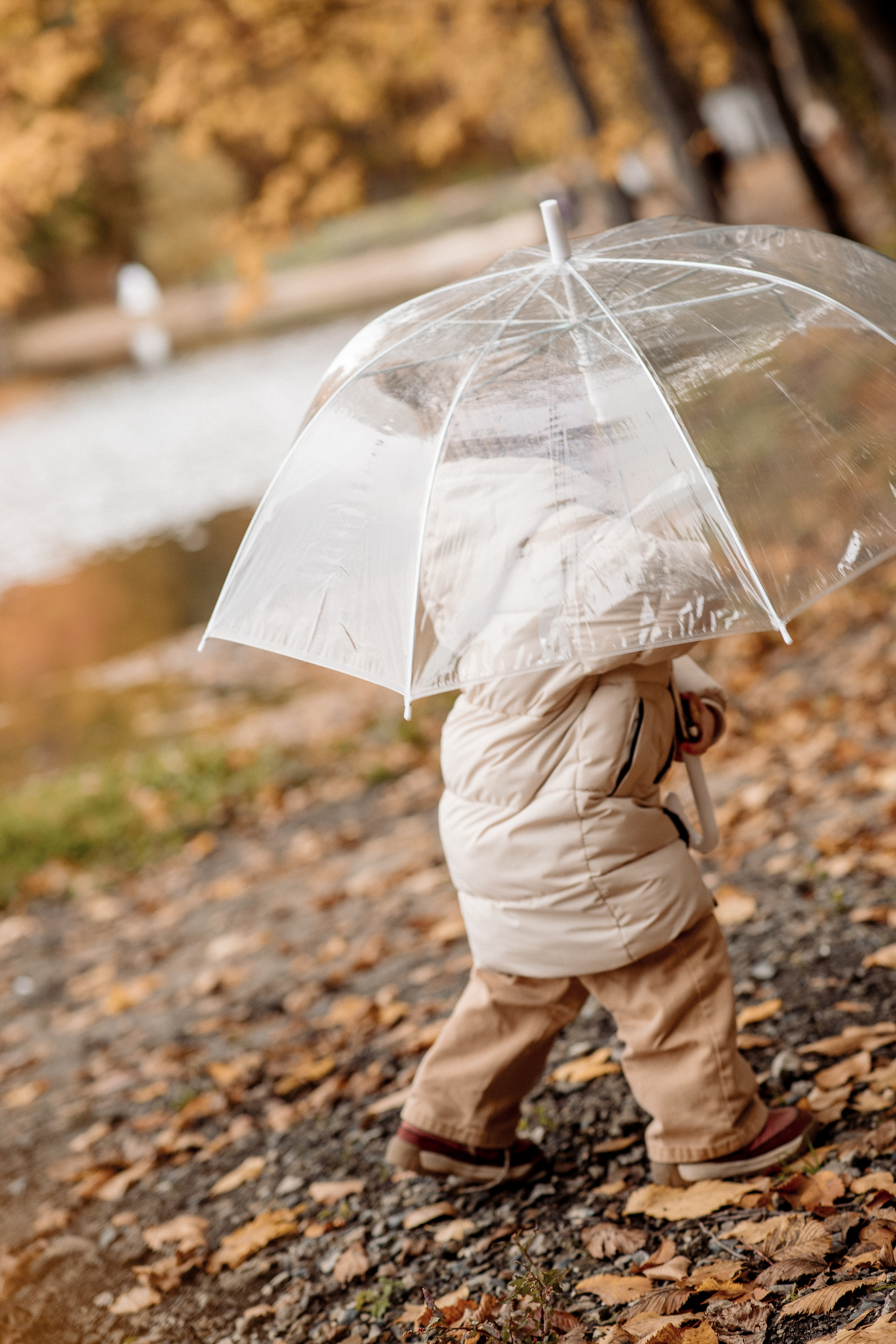 Маляевы и осень в Ударнике. Фотограф Мария Стрелкова