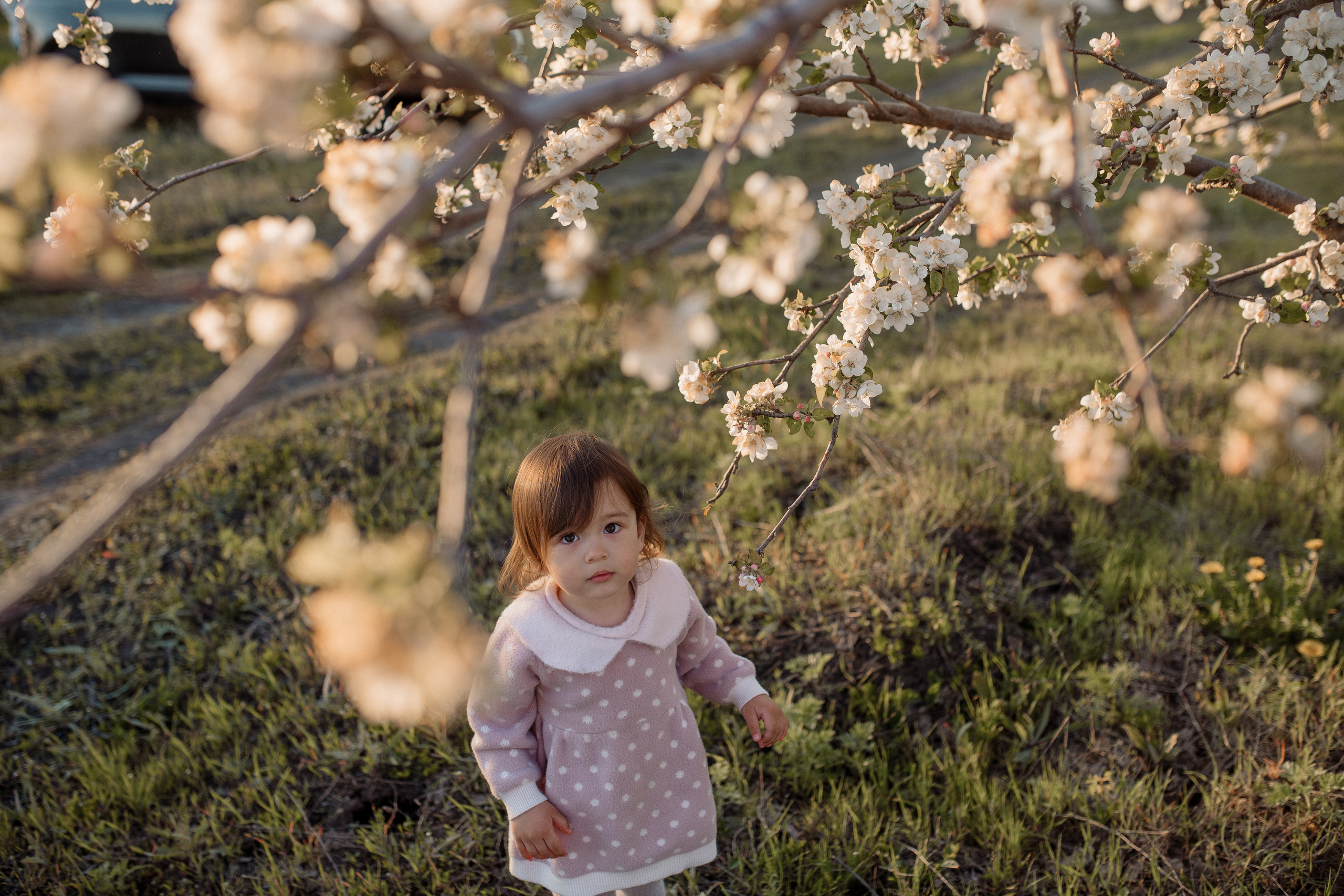 Ирина и Алиса — цветущие сады. Фотограф Мария Стрелкова