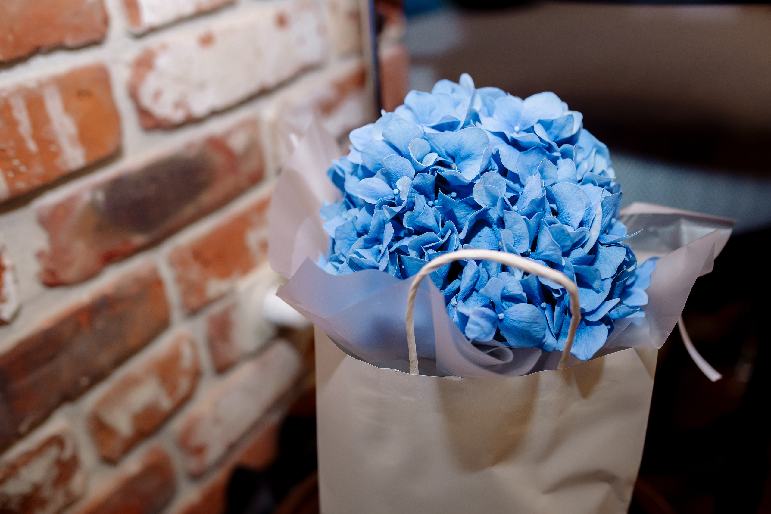 Самый яркий день. Фотограф Мария Стрелкова