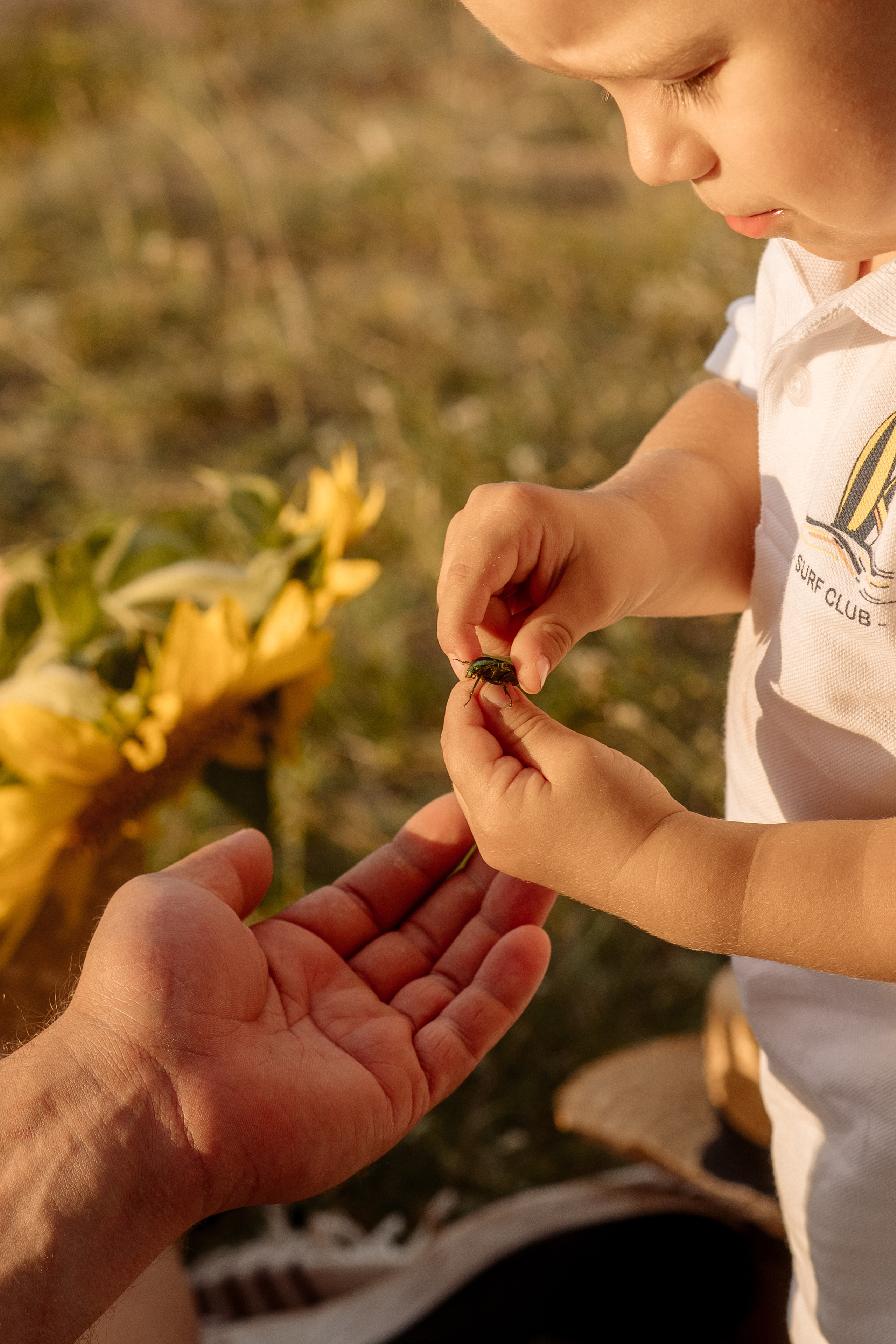 Лето в Широком. Фотограф Мария Стрелкова
