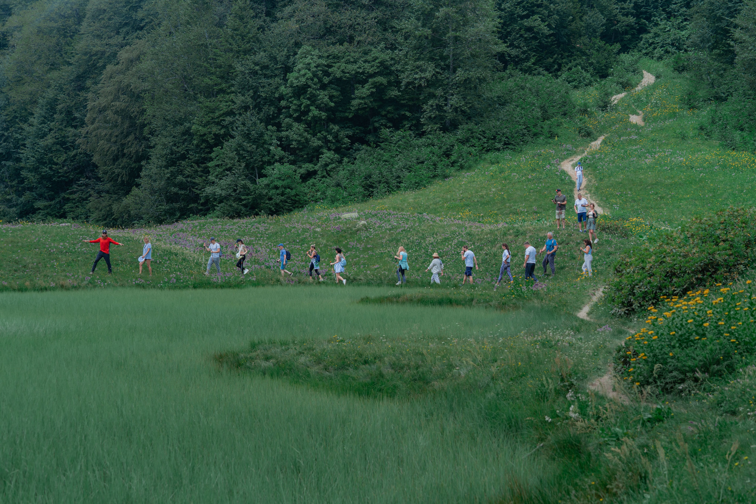 Психологический тренинг на озере Зеркальное. Репортажный фотограф в Красной Поляне и Сочи Павлюченко Екатерина