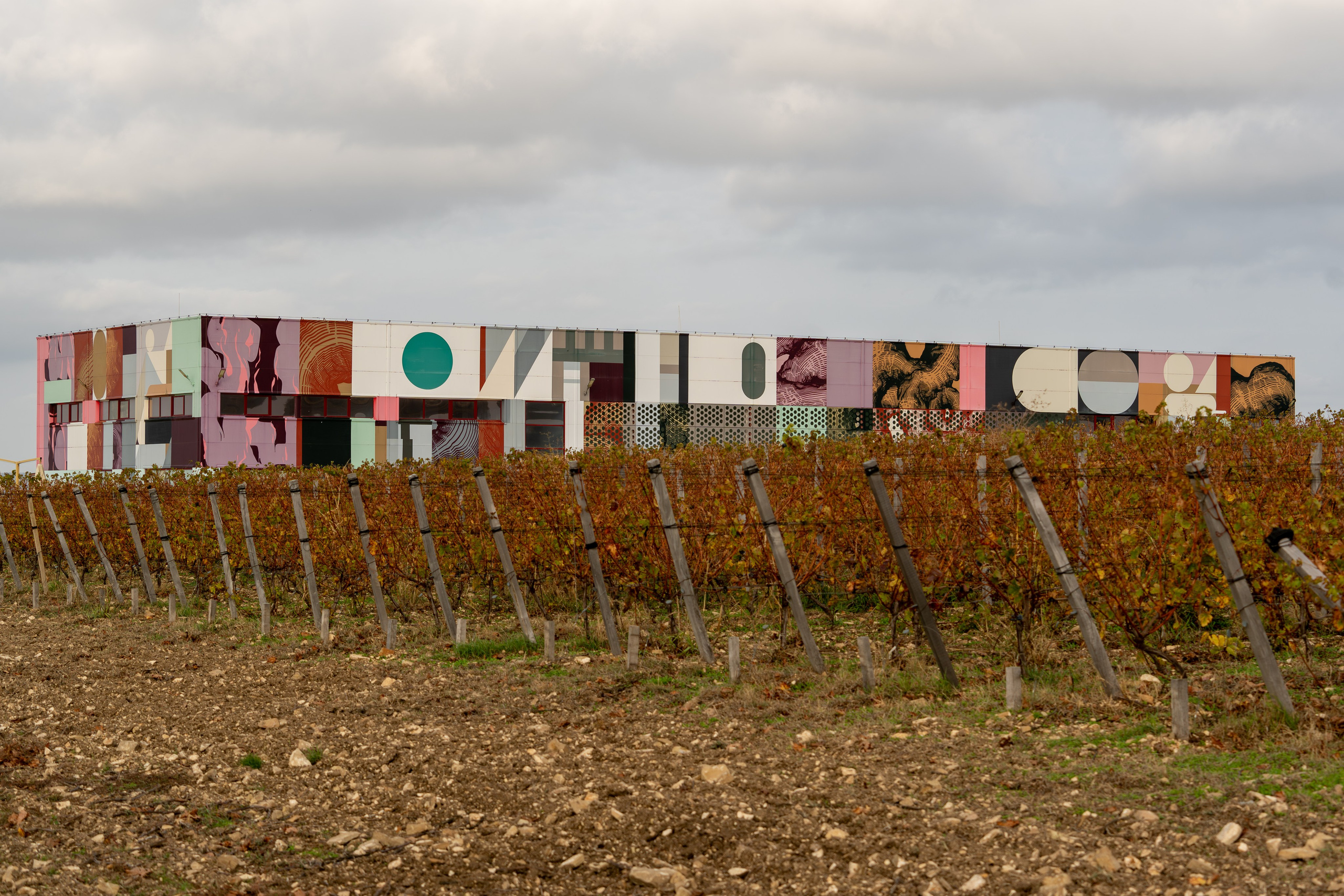 Литературная мастерская с Ольгой Шутовой в «Винотеррии». Репортажный фотограф в Красной Поляне и Сочи Павлюченко Екатерина