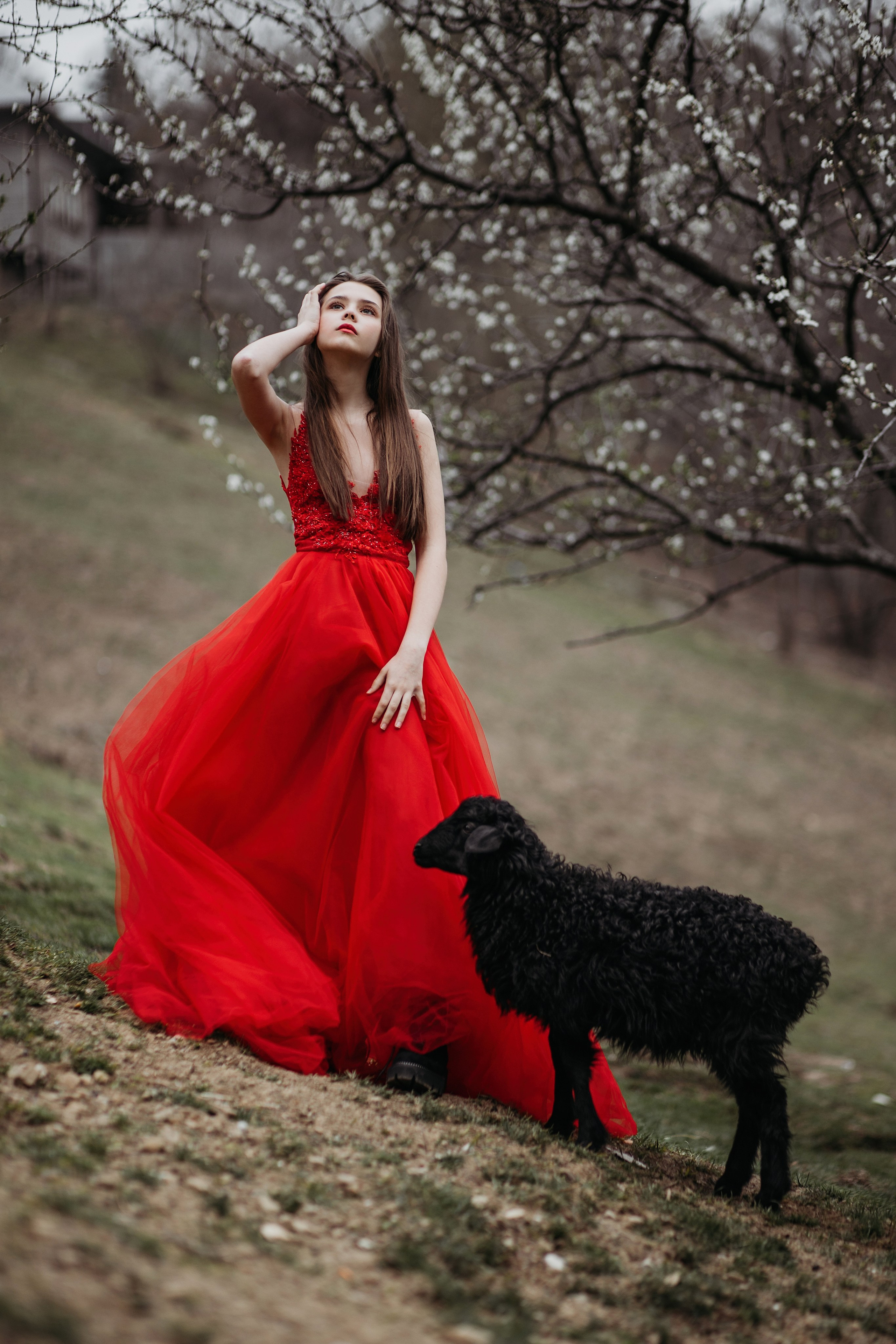 Ферма Экзархо. Фотограф Сочи Татьяна Зорина