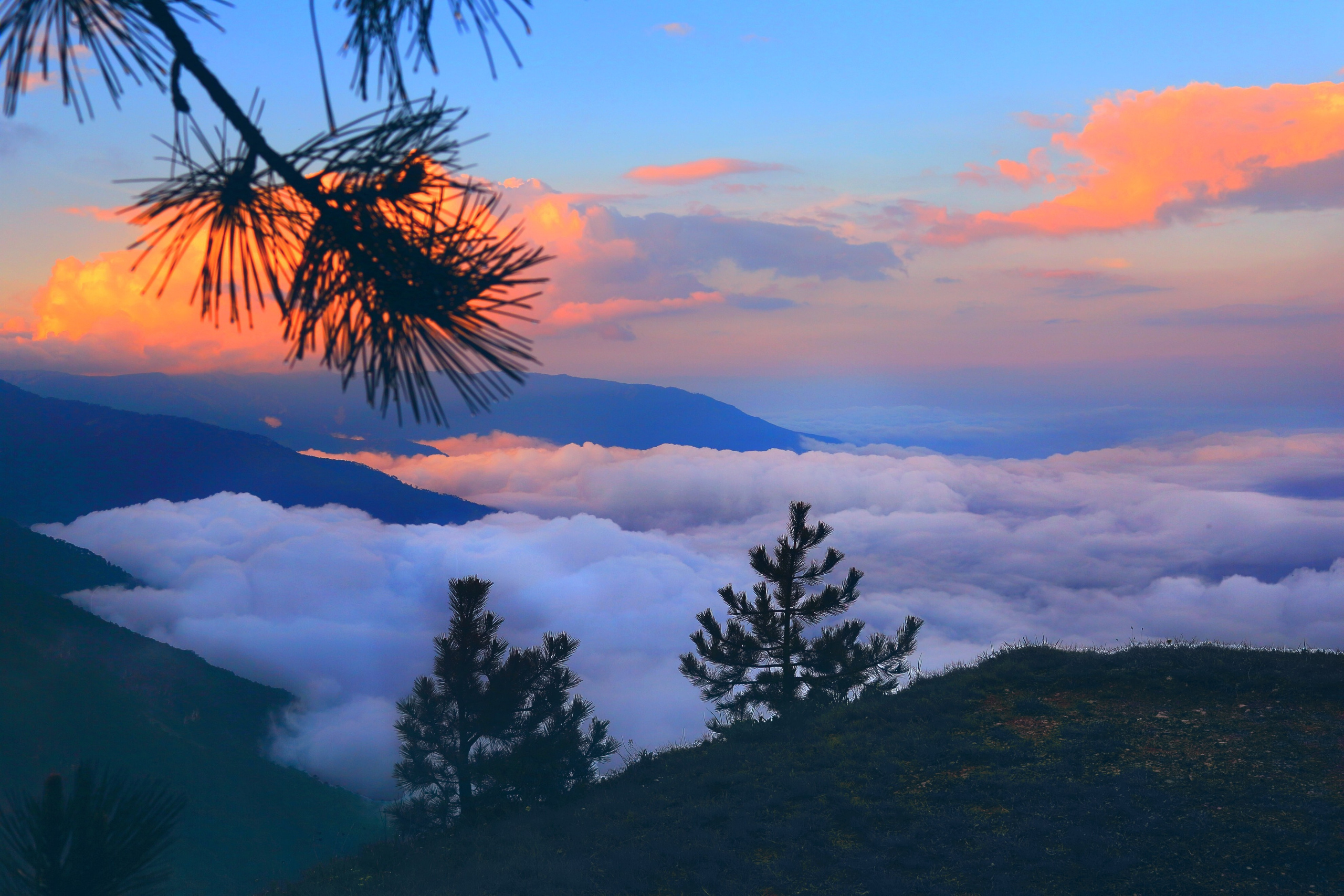 Крым. Свадебный и репортажный фотограф в Ярославле и Санкт-Петербурге Роман Микрюков