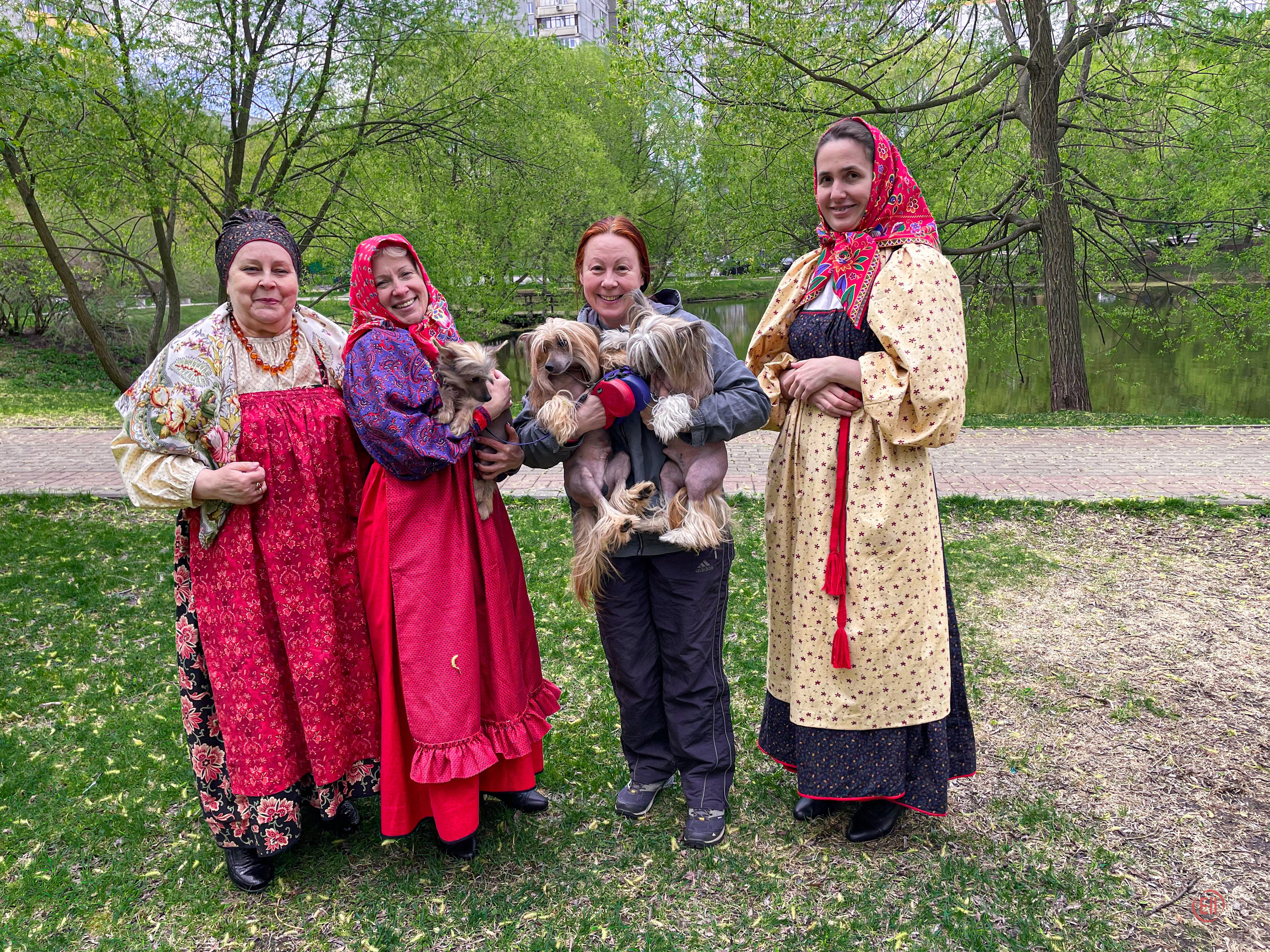 We were stopped on our walk!. Poale Ell Chinese Crested Dog Kennel: Buy a puppy from the kennel
