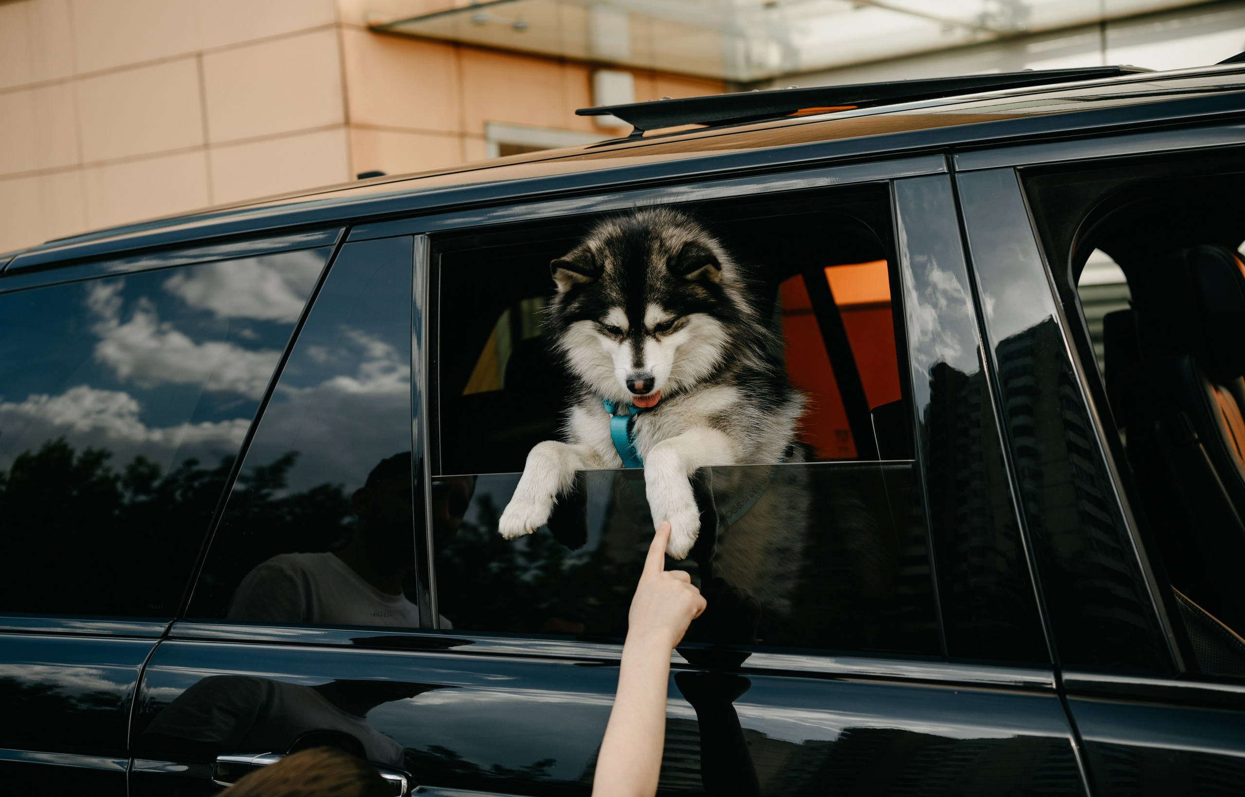 Выписка Амелии в ФГБУ Кулакова. Фотограф на выписку из роддома в Москве и МО