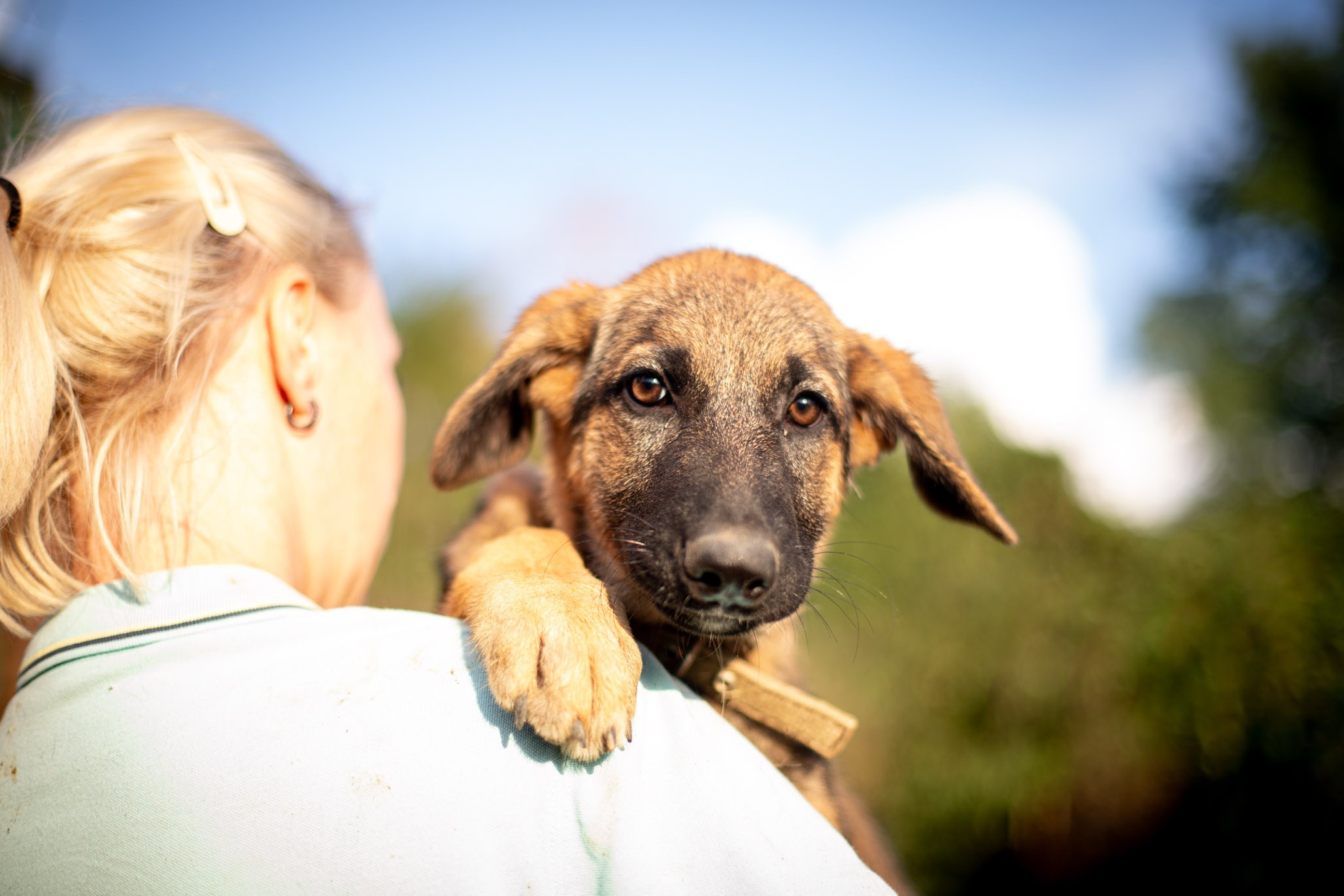 Приют Бим. Ирина Голомб|Фотограф-анималист в  Сочи и Калининграде