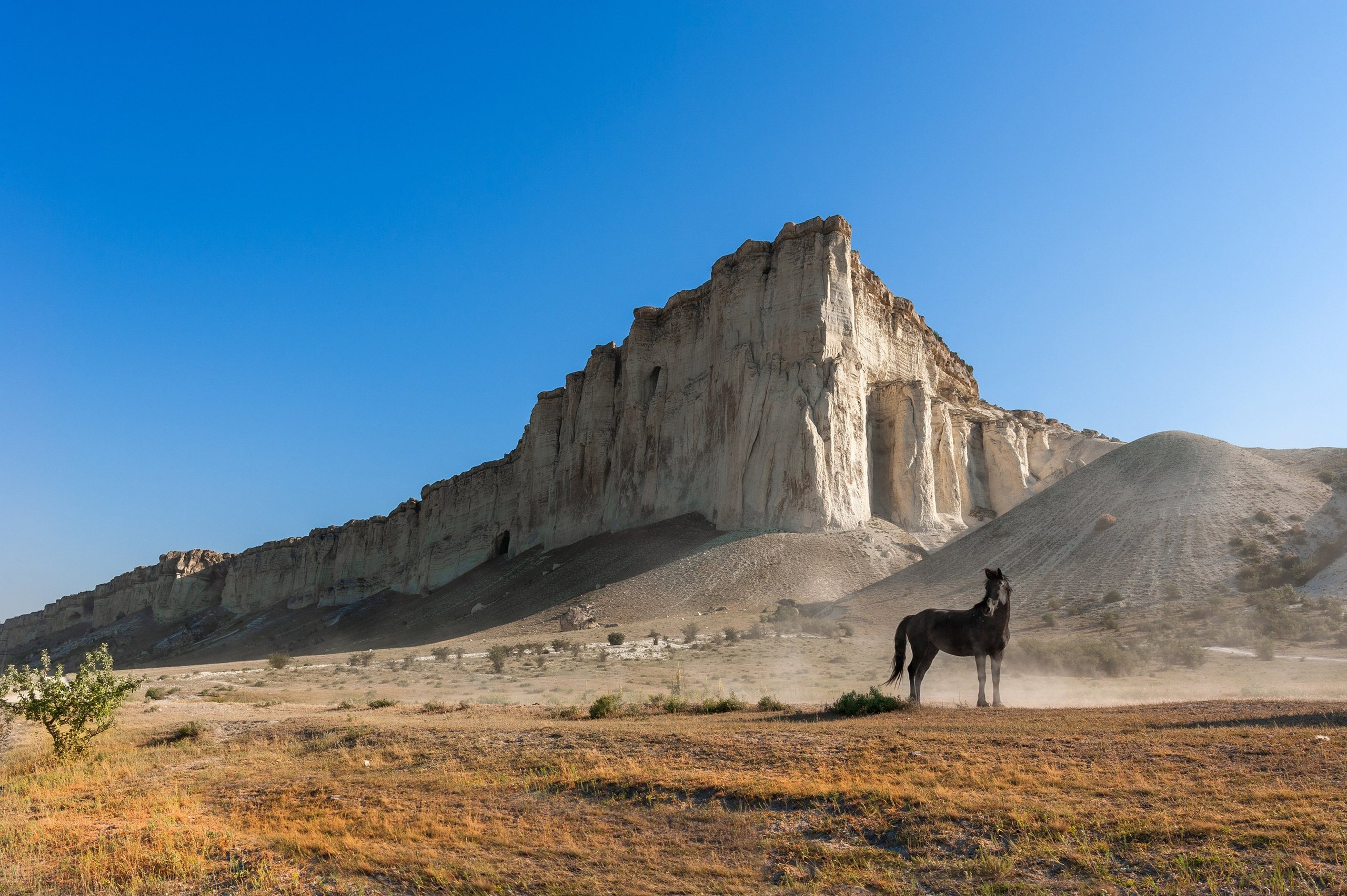 Путешествия. Спортивный фотограф в Ростовской области Анжела Гринченкова