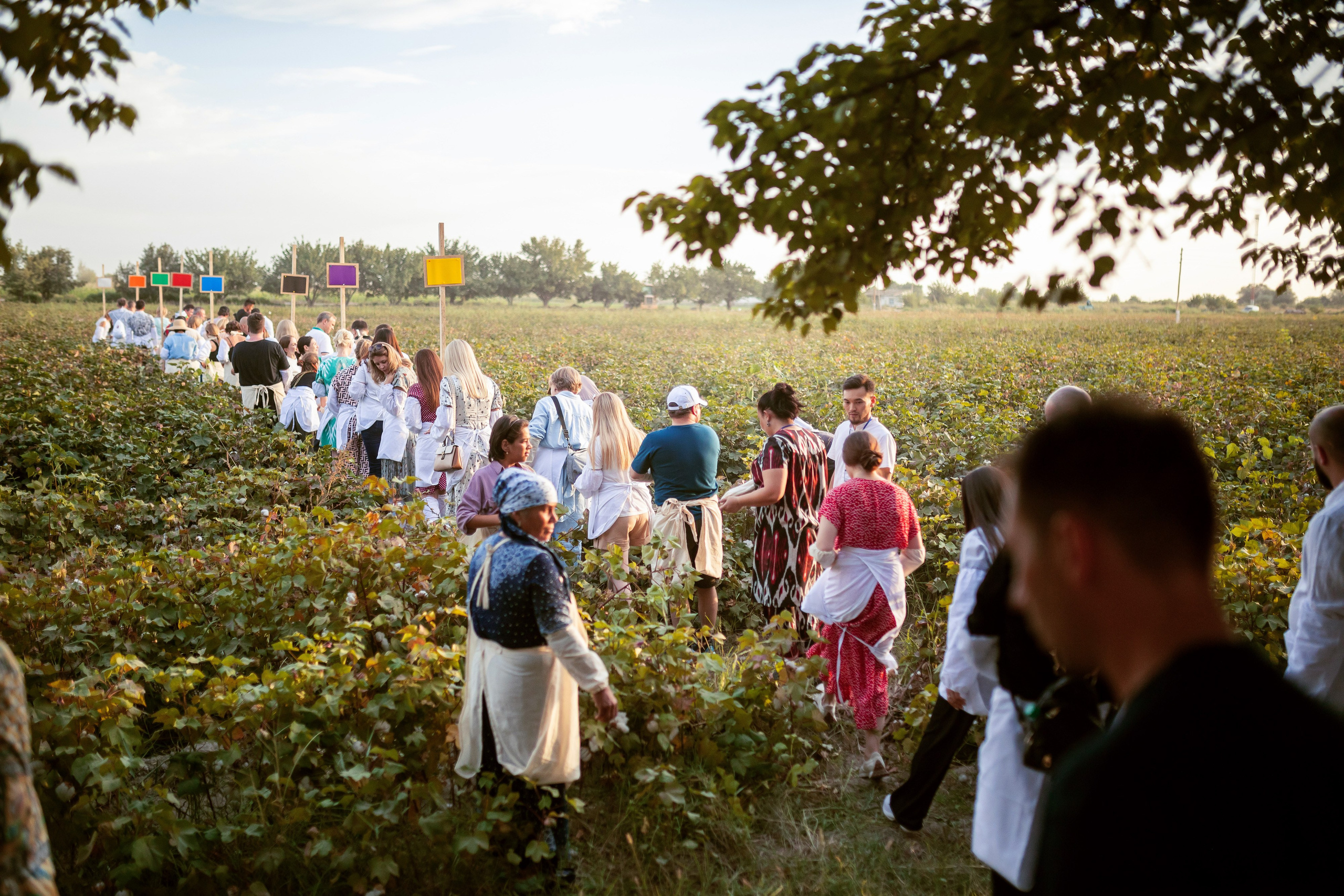 Фотосъемка корпоративного выезда в Узбекистан. Автомобильный фотограф Иван Баринов