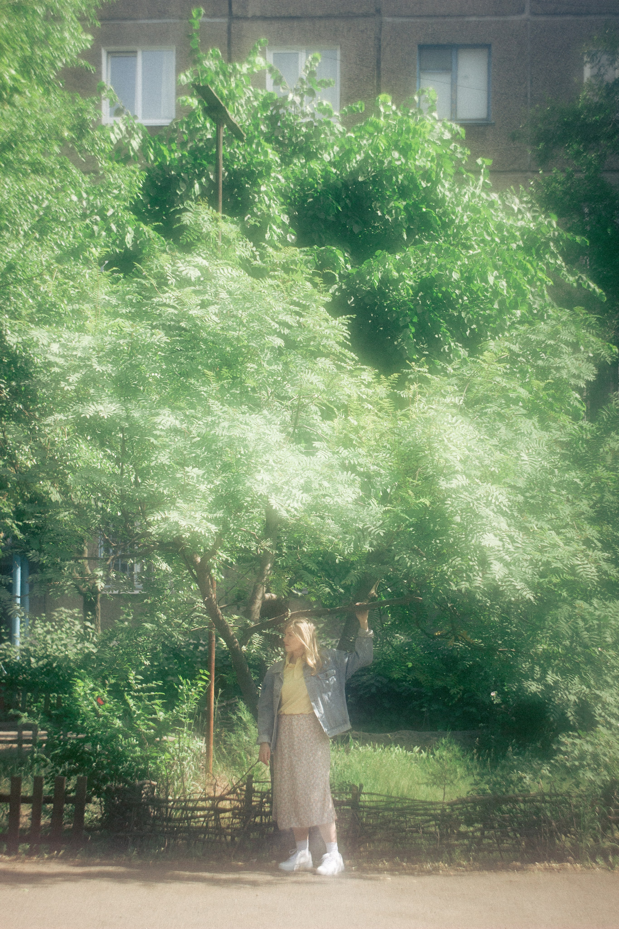 Летний сон. • Фотограф Александра Светозар Алчевск •