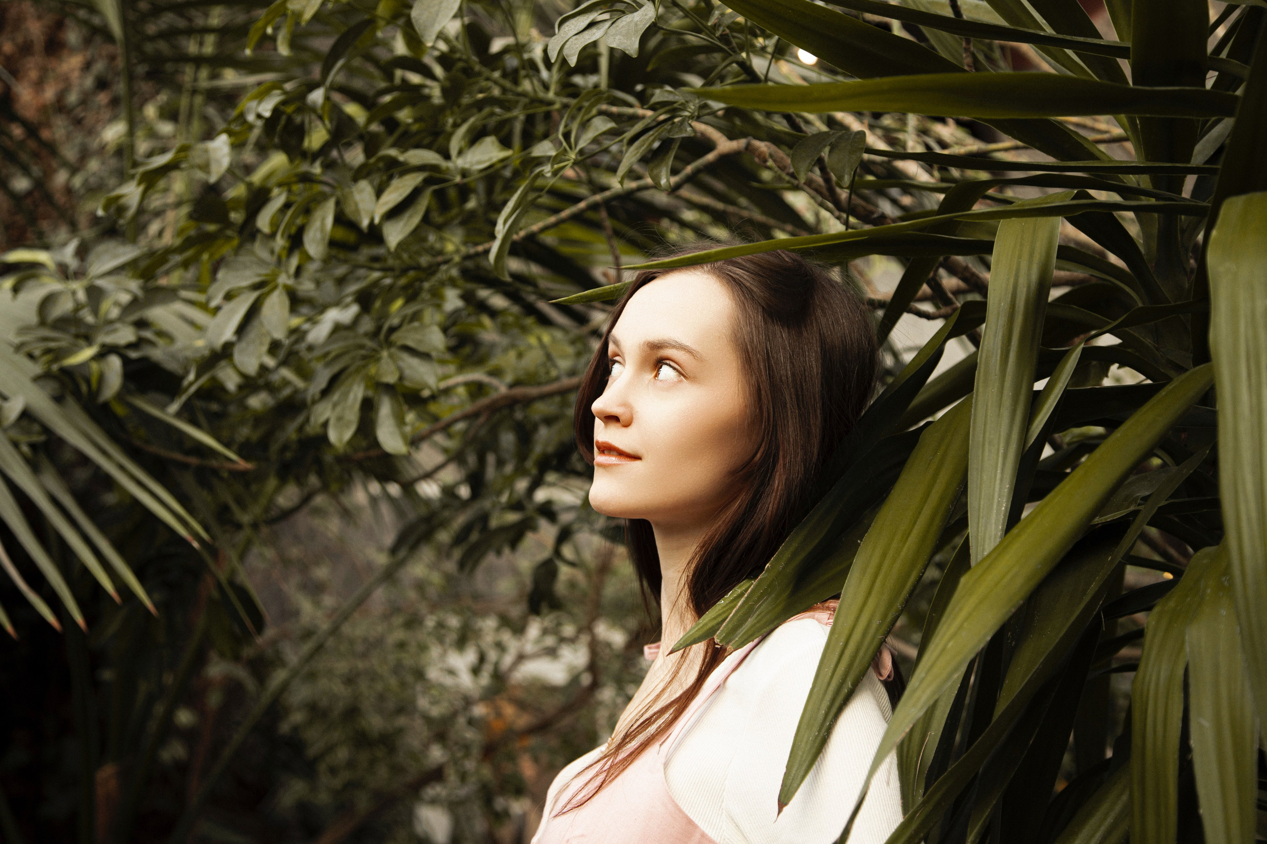 Оранжерея Таврического сада