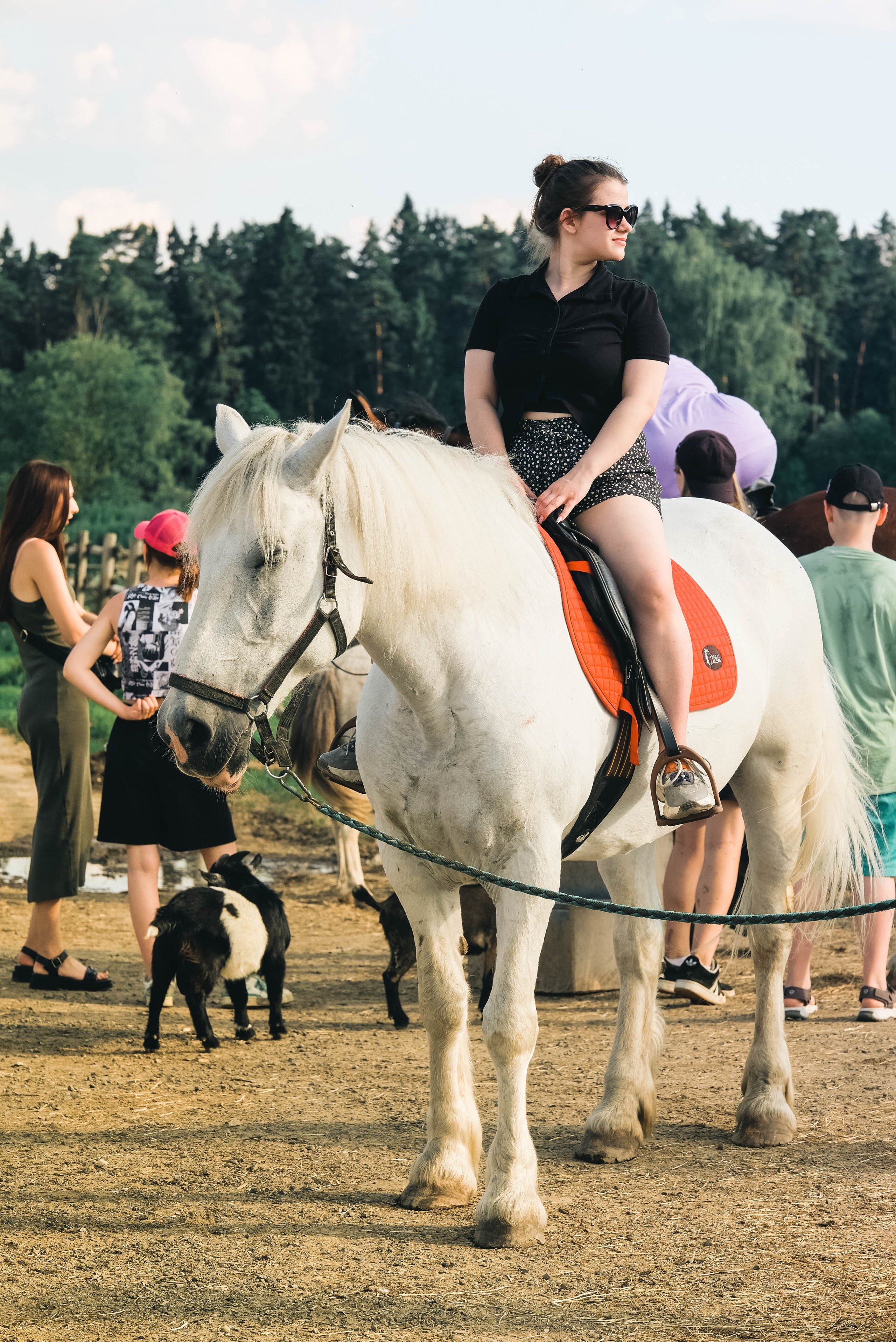 Конюшня. KRUTOVA_фотографирую жизнь