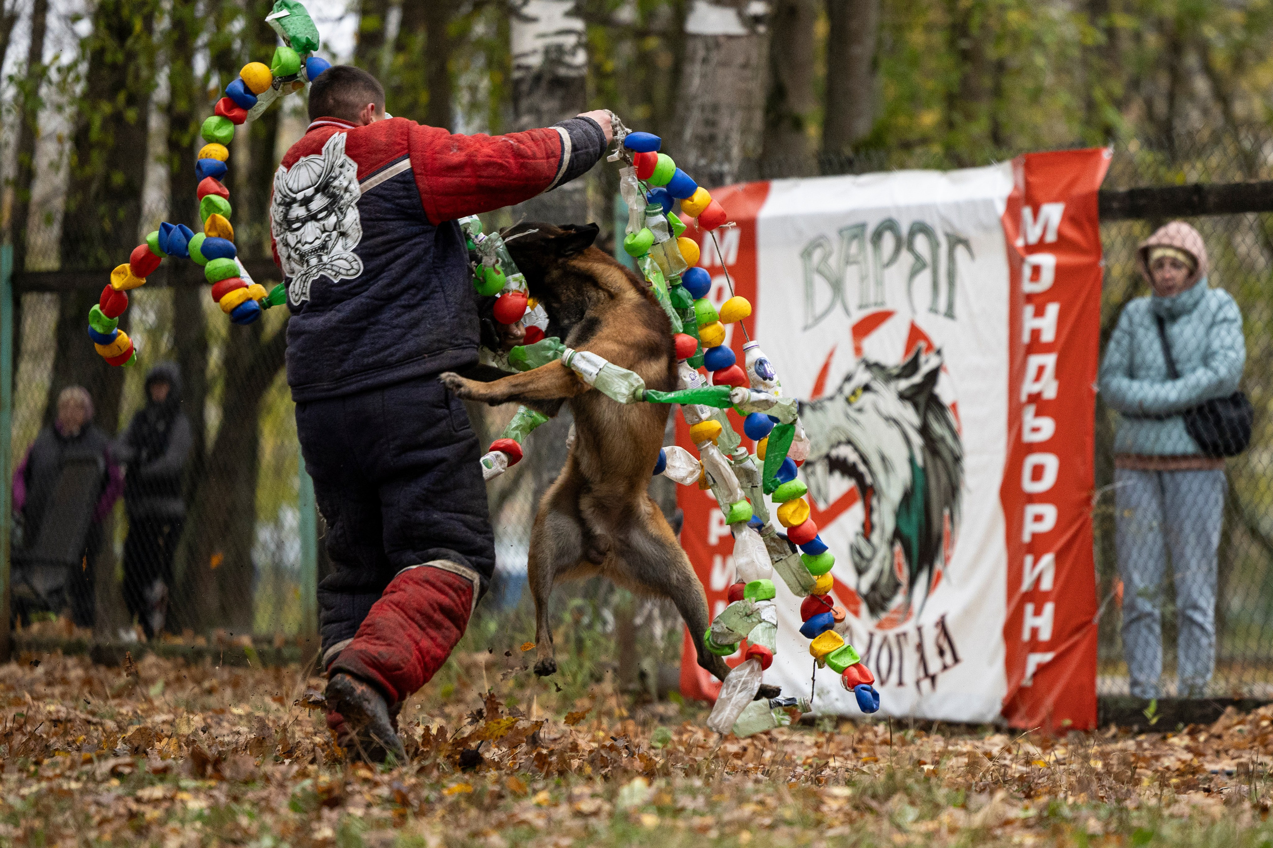 Соревнования по Мондьорингу г. Вологда. Фотограф-анималист Анна Маринич