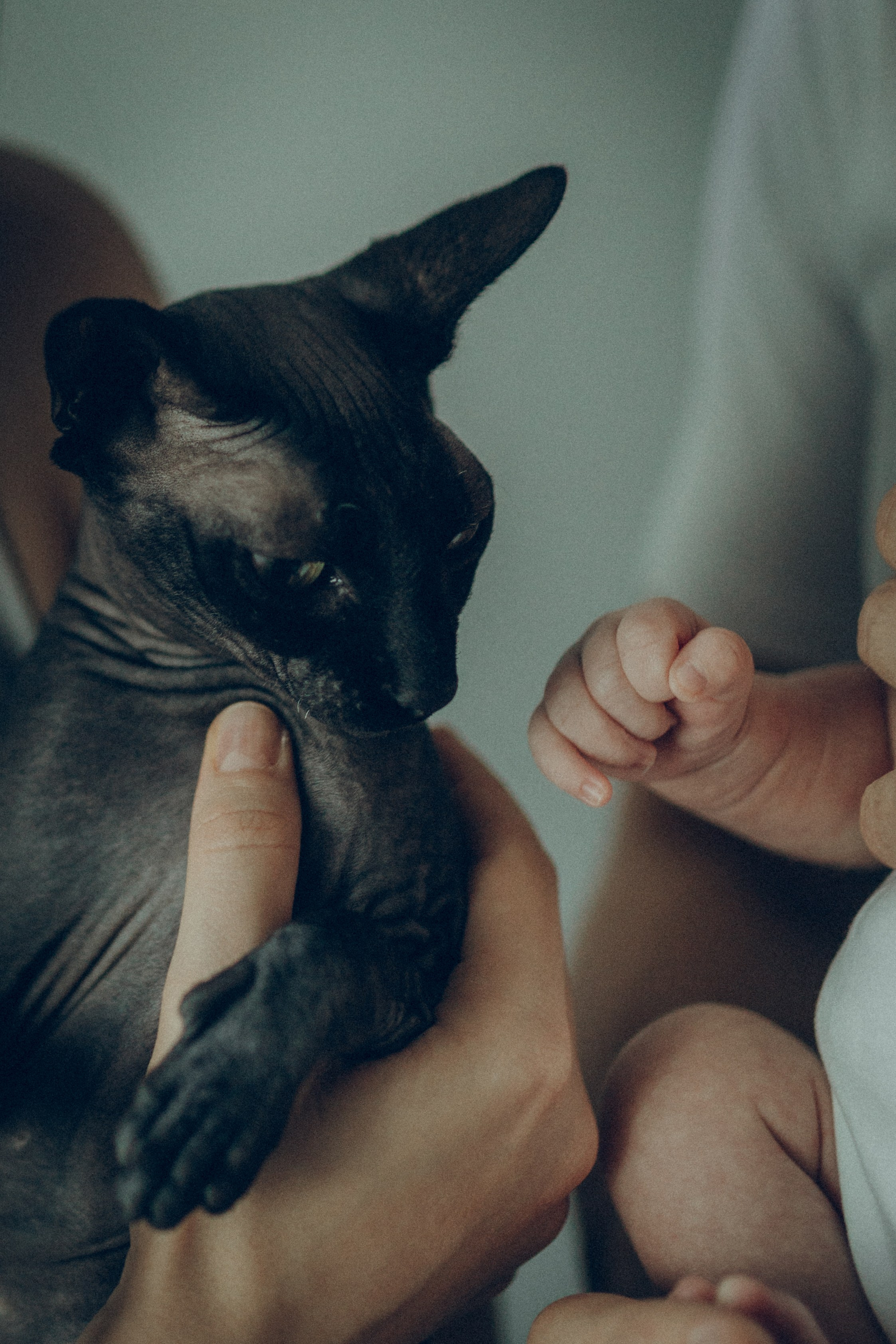 Рита, Коля и Василиса. Семейный фотограф и фотограф на роды в Ростове-на-Дону Мухина Виктория