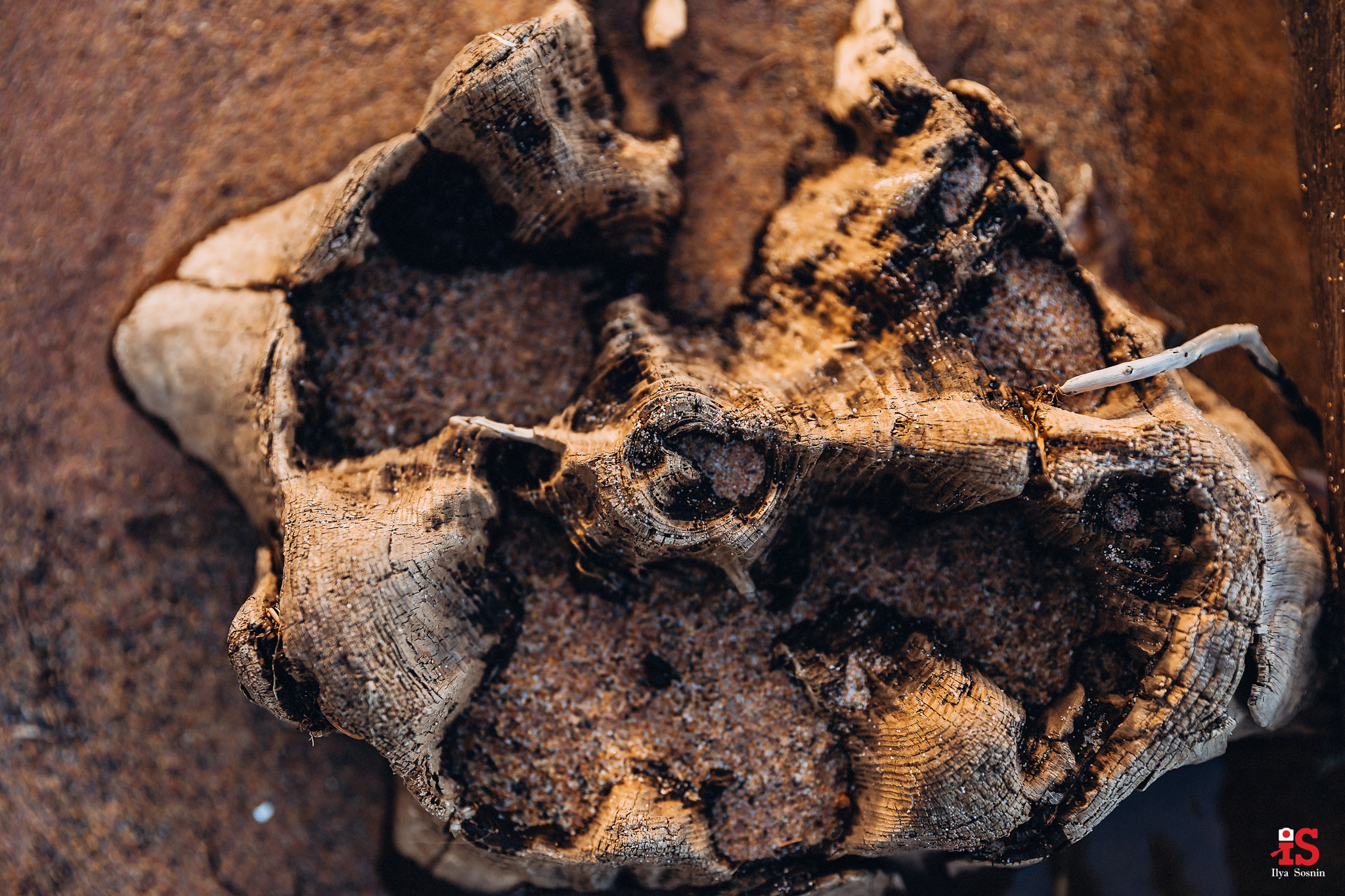 свадебный фотограф, лавстори, лавстори на свадьбу, love-story, лучший свадебный фотограф Петрозаводск, свадебный фотограф Петрозаводск,  свадебный салон Петрозаводск,  свадебное платье, обручальные кольца, свадебный фотограф спб, свадебный фотограф Финляндия, невеста платье, свадьба банкет, банкетный зал, фотограф Хельсинки, свадебная фотосессия, Красивая свадебная фотография, фотограф Сочи, фотограф Адлер