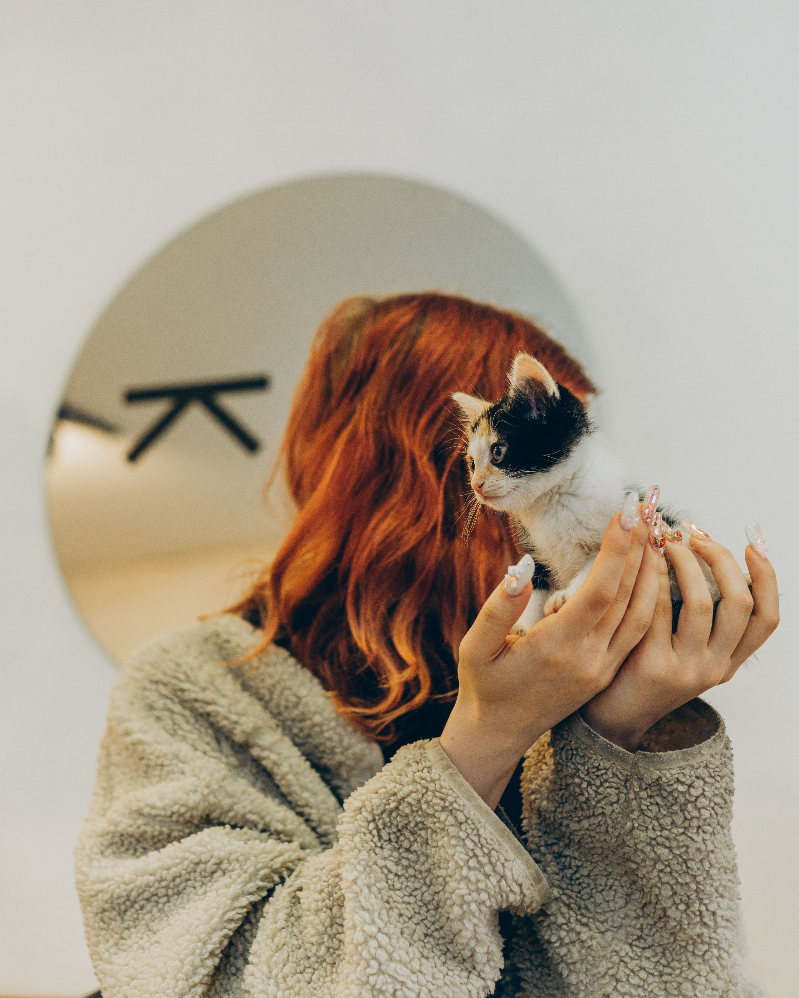 Соник. Фотограф анималист в Спб недорого Олеся Майорова