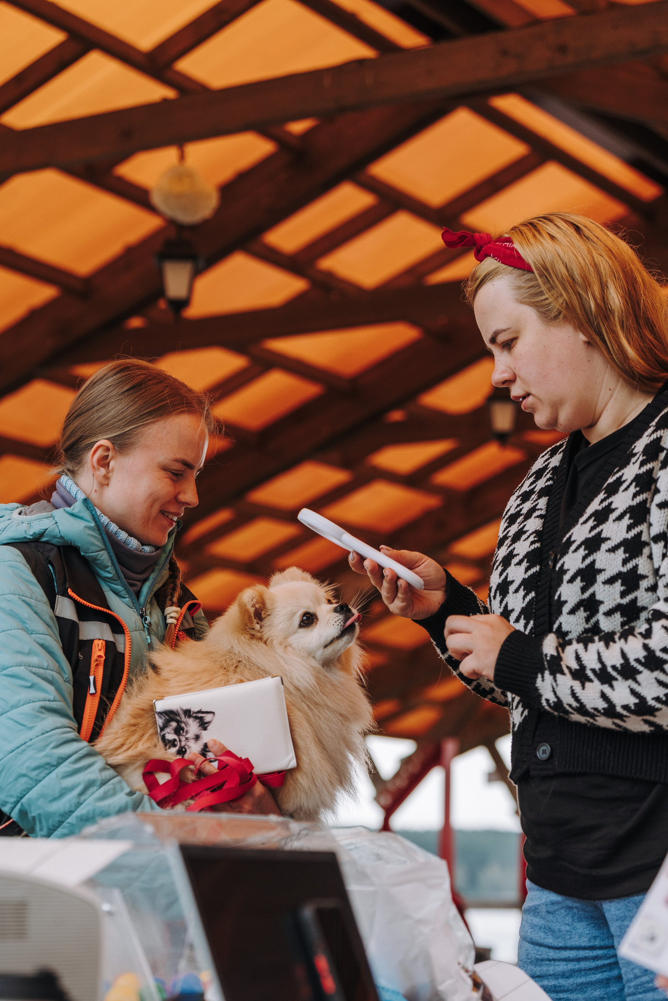 Соревнования по ноузворку в Лосево. Фотограф анималист в Спб недорого Олеся Майорова