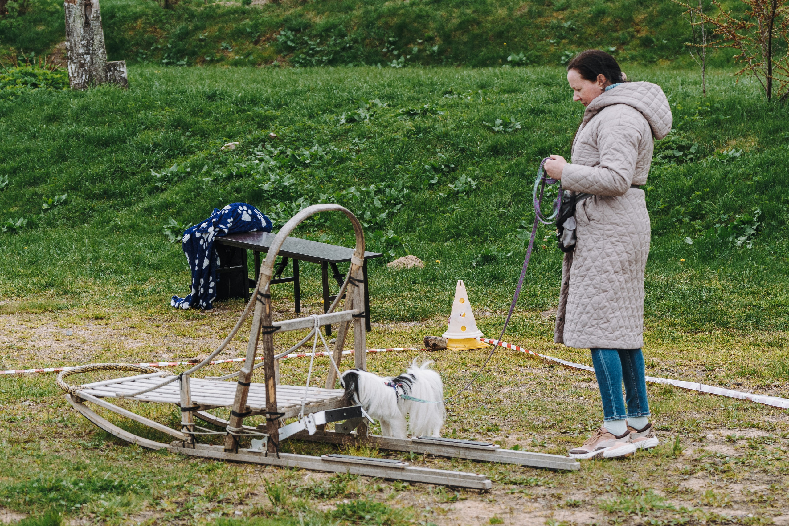Соревнования по ноузворку в Лосево. Фотограф анималист в Спб недорого Олеся Майорова