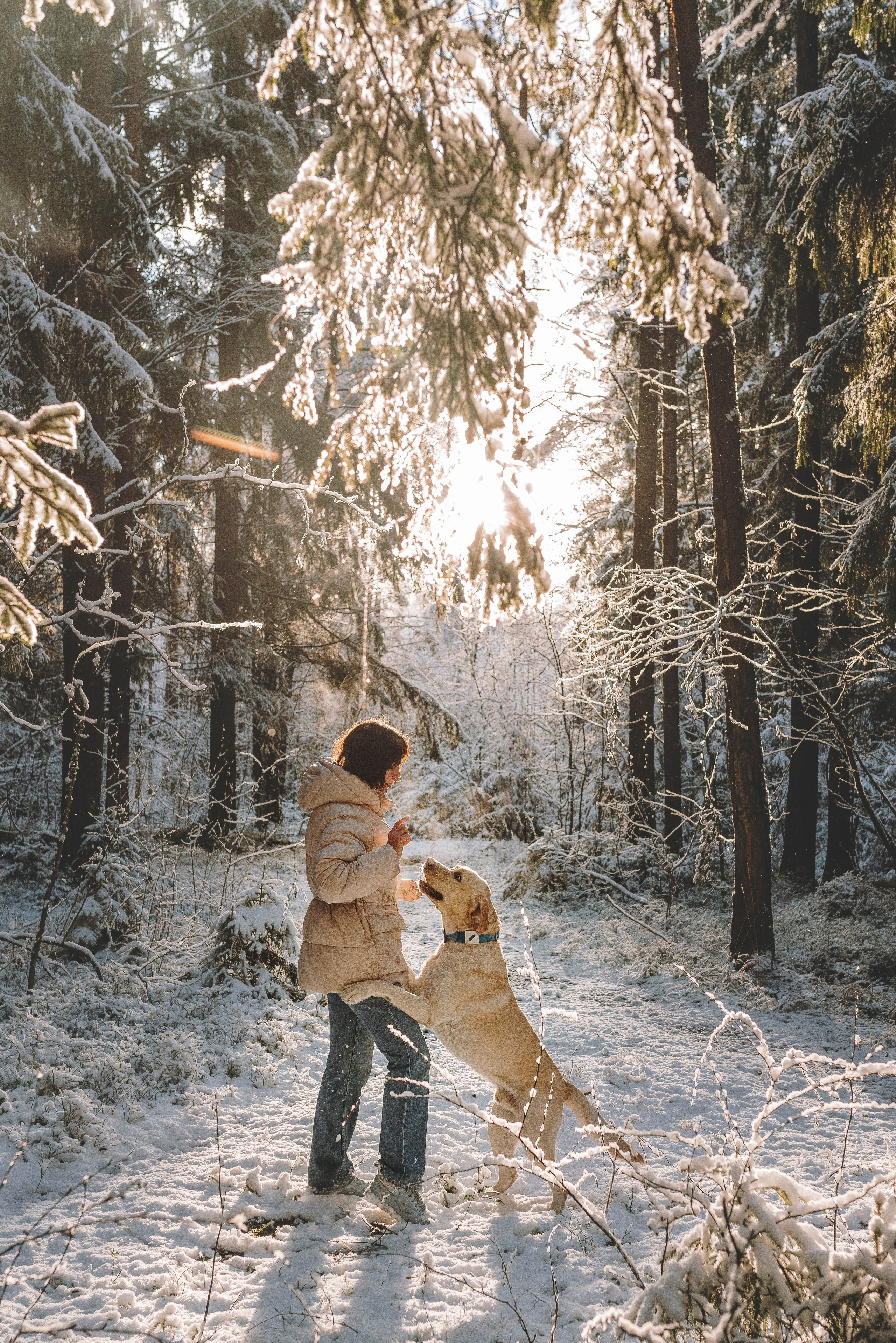 Аня и Честер. Фотограф анималист в Спб недорого Олеся Майорова