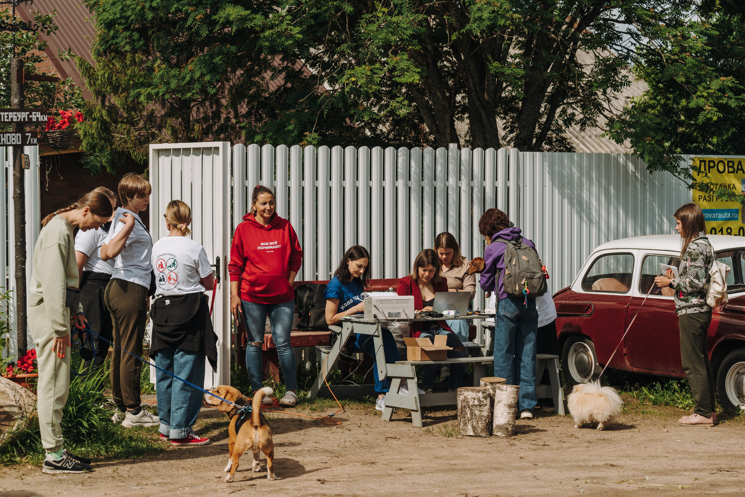 Соревнования по ноузворку. Фотограф анималист в Спб недорого Олеся Майорова