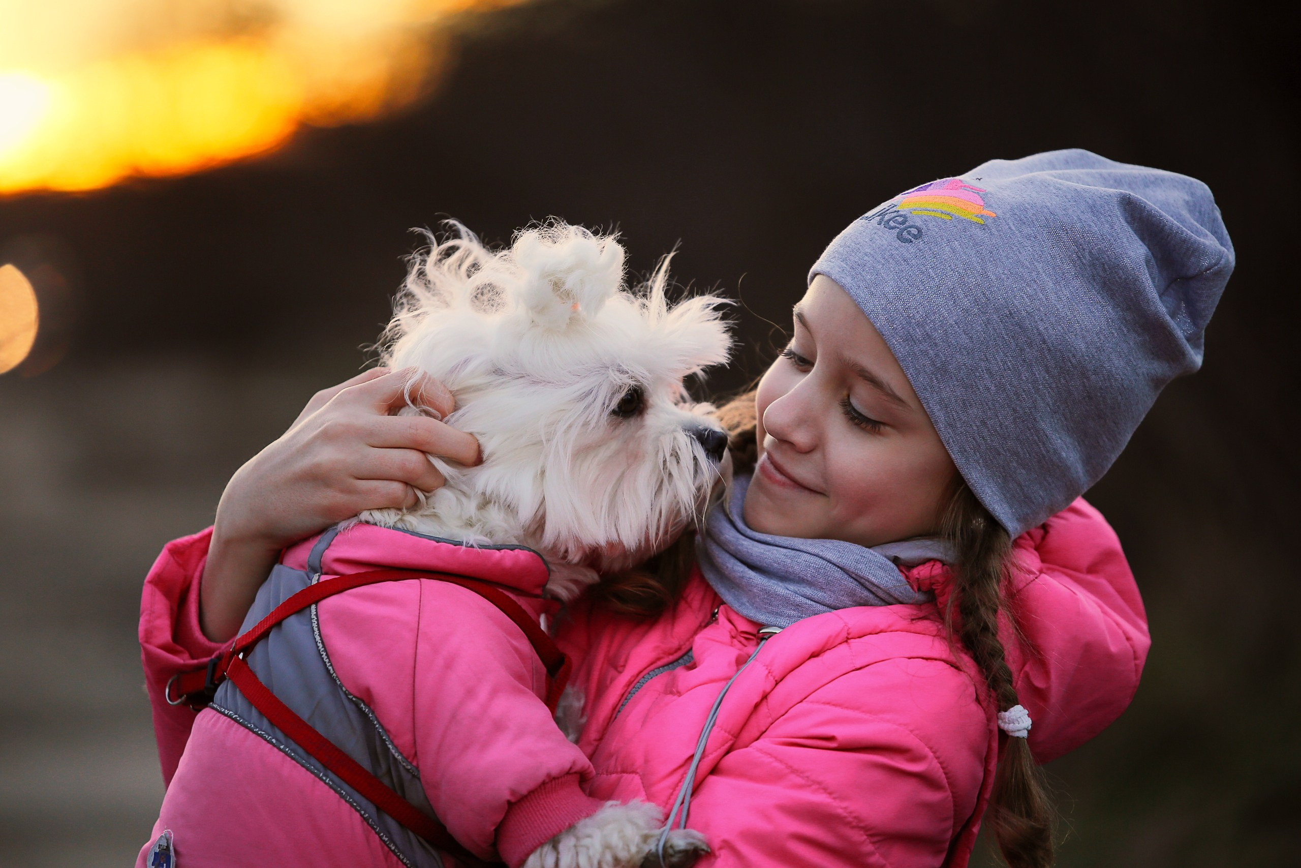 Четвероногие друзья. Репортажный, семейный, школьный фотограф в Иванове Инна Крылова