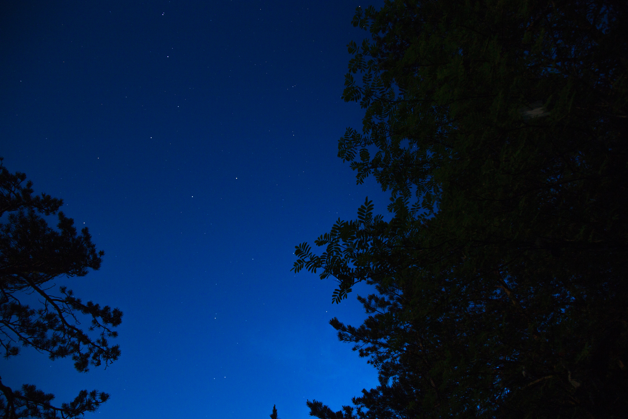 Виды Перми и окрестностей. Фотограф Никита Попов. Фотограф Пермь. Фотосессия в фотостудии Перми и на свежем воздухе