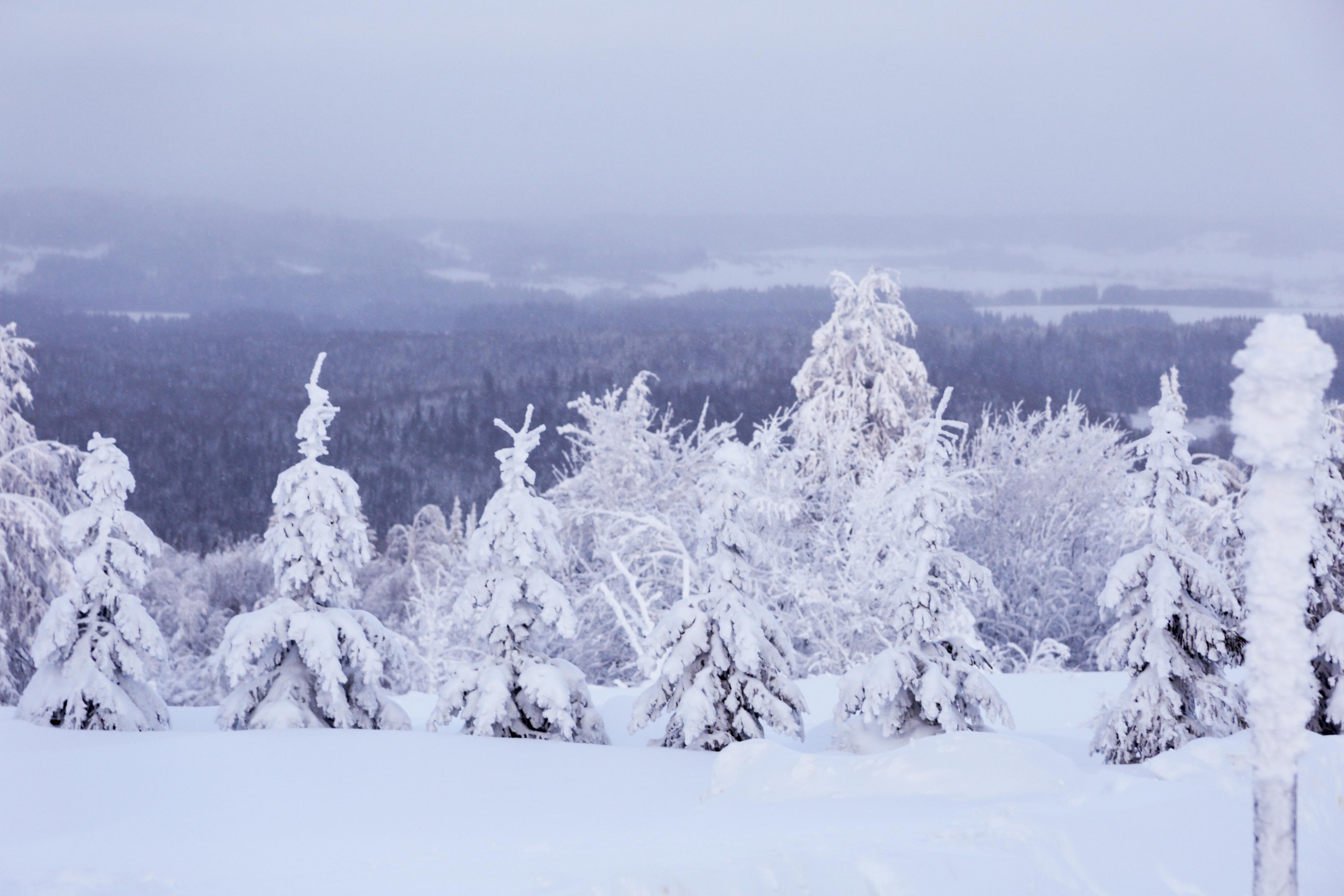 Виды Перми и окрестностей. Фотограф Никита Попов. Фотограф Пермь. Фотосессия в фотостудии Перми и на свежем воздухе