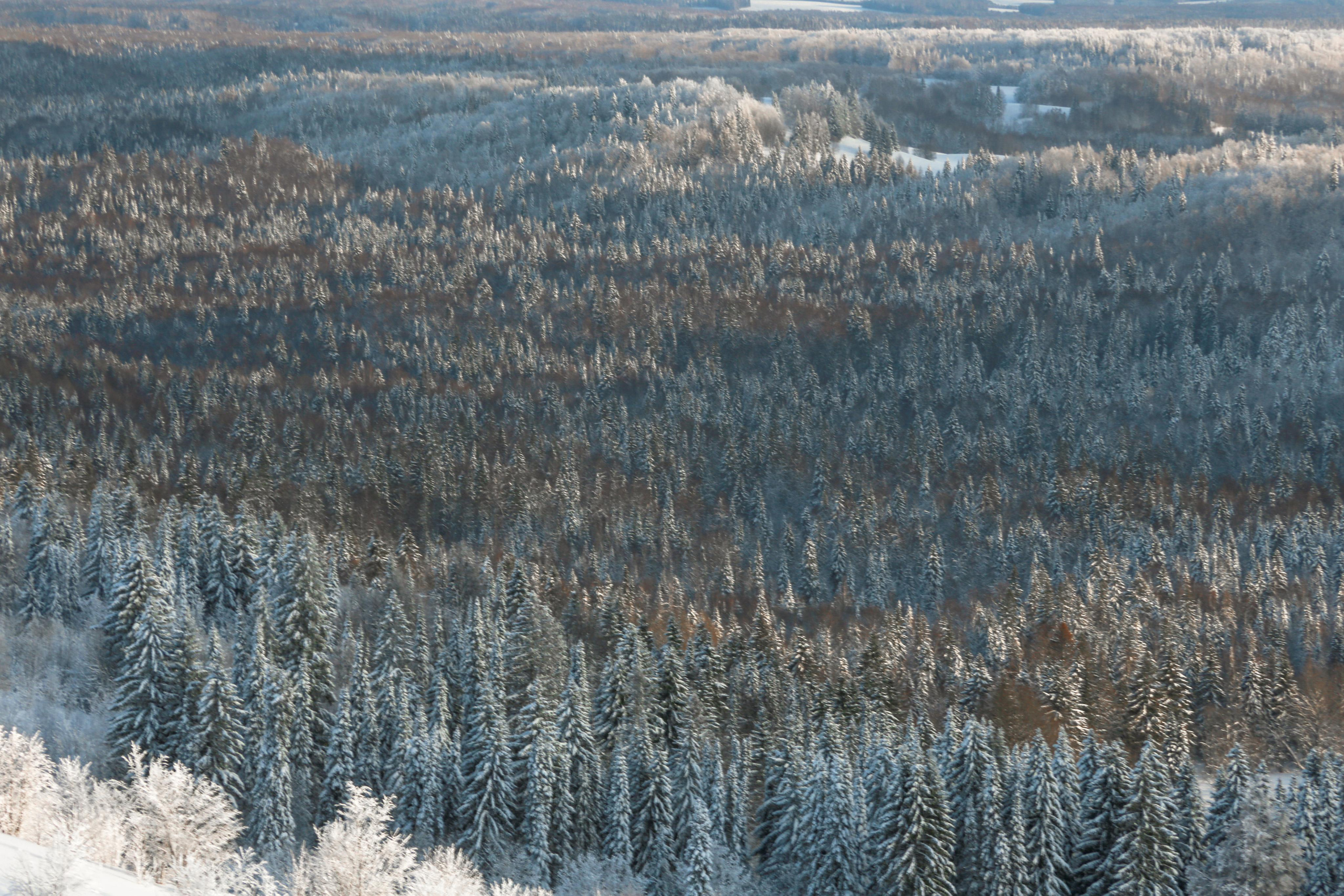Виды Перми и окрестностей. Фотограф Никита Попов. Фотограф Пермь. Фотосессия в фотостудии Перми и на свежем воздухе