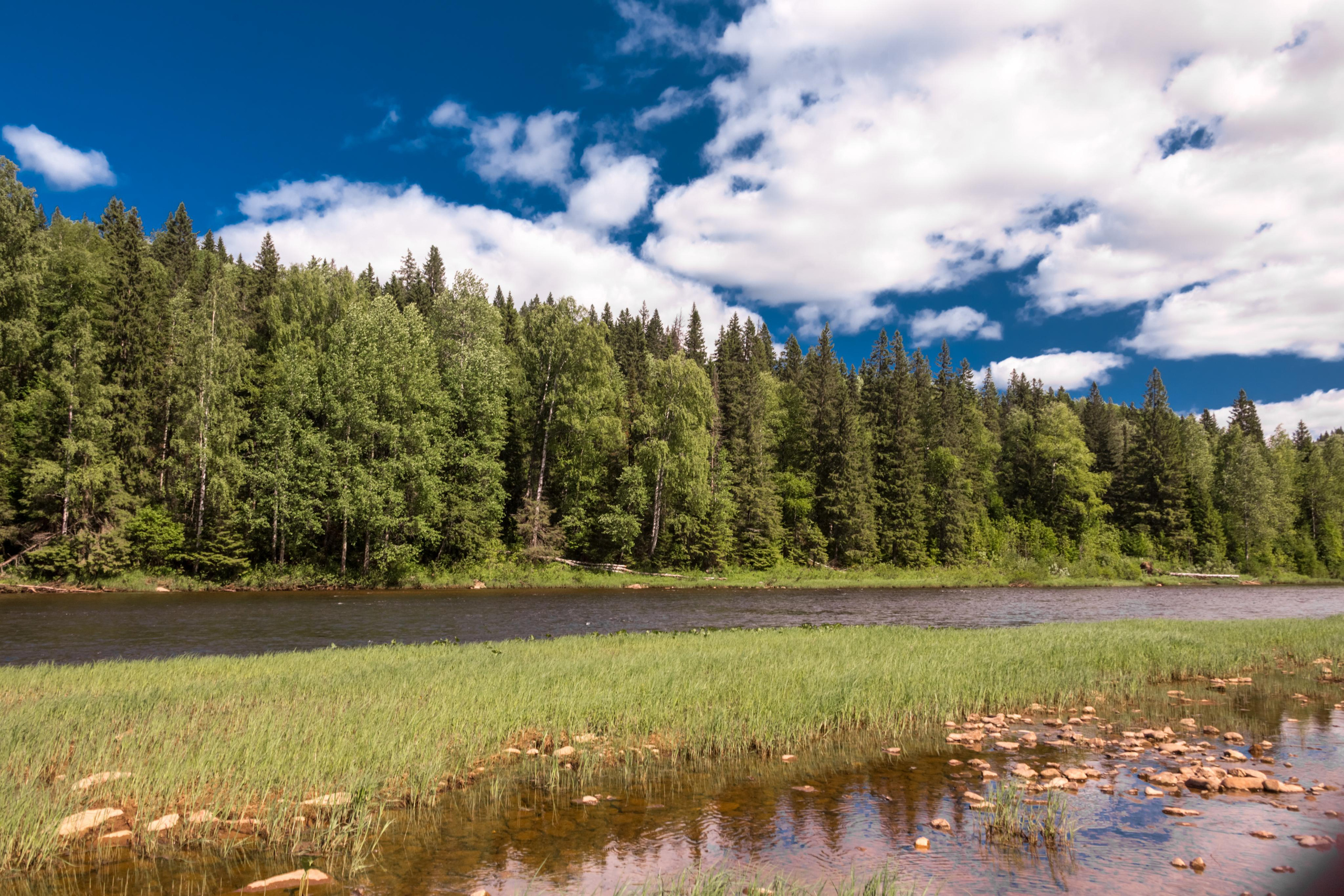 Виды Перми и окрестностей. Фотограф Никита Попов. Фотограф Пермь. Фотосессия в фотостудии Перми и на свежем воздухе