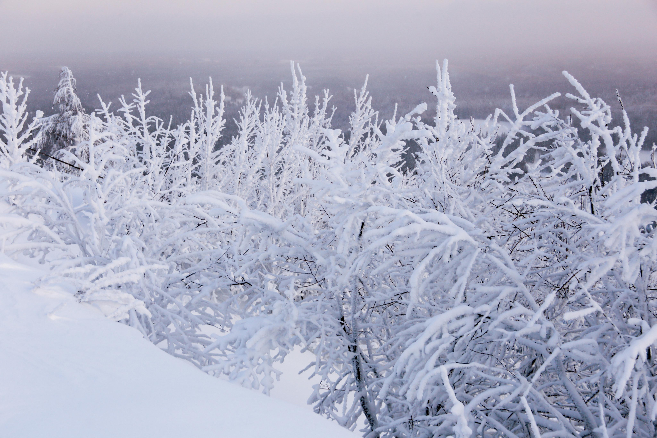Виды Перми и окрестностей. Фотограф Никита Попов. Фотограф Пермь. Фотосессия в фотостудии Перми и на свежем воздухе