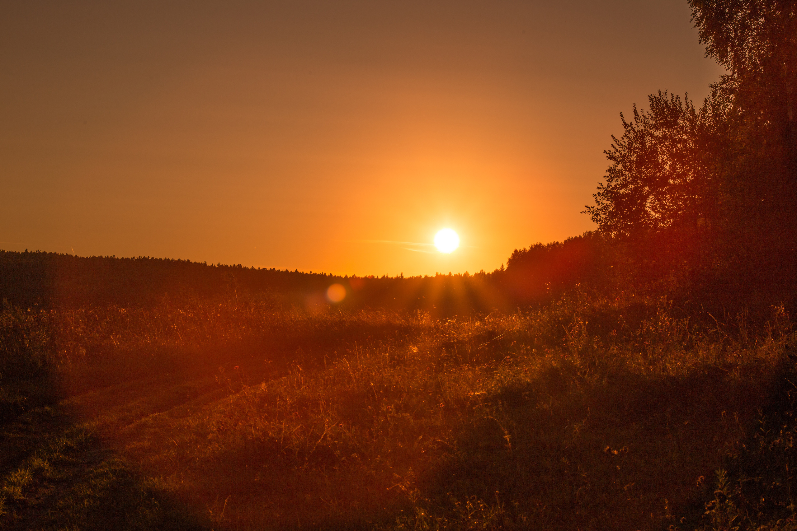 Виды Перми и окрестностей. Фотограф Никита Попов. Фотограф Пермь. Фотосессия в фотостудии Перми и на свежем воздухе
