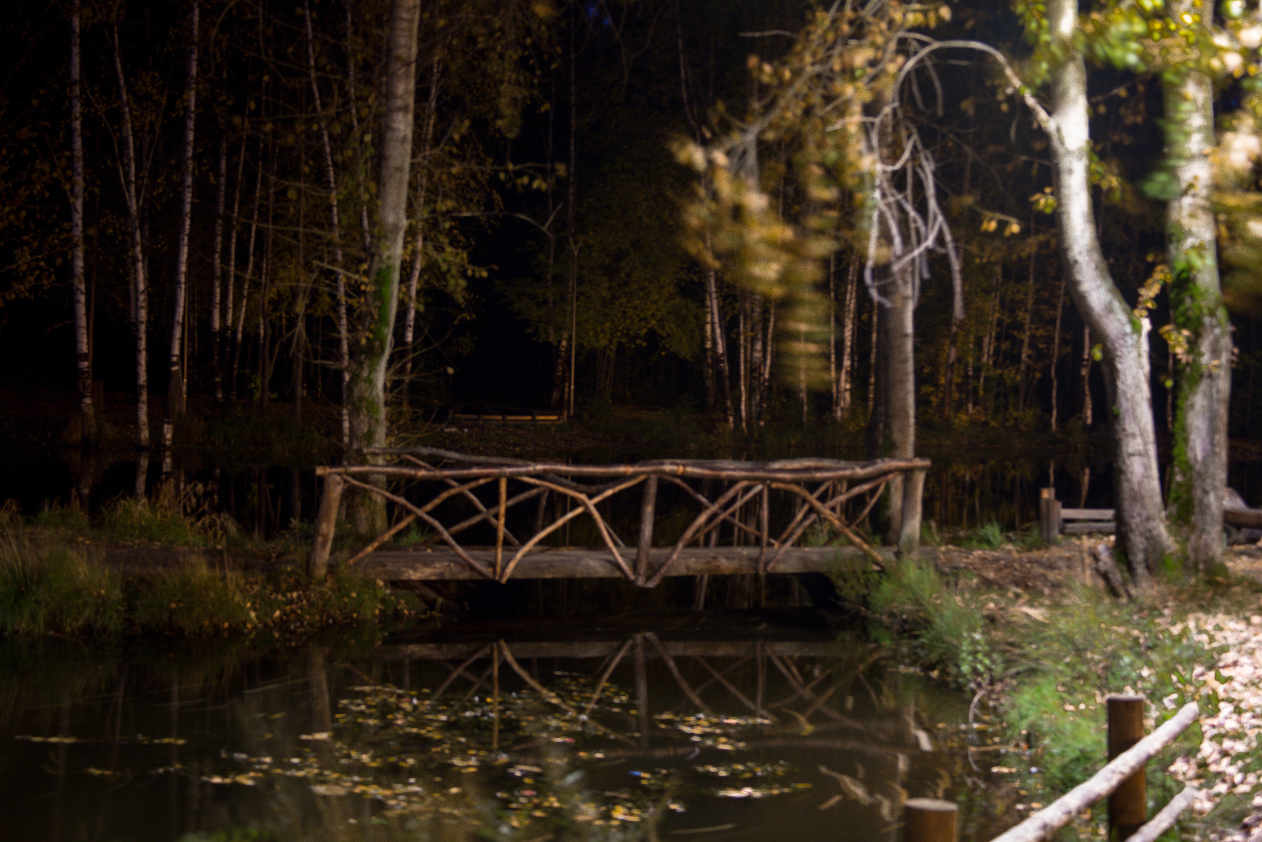 Виды Перми и окрестностей. Фотограф Никита Попов. Фотограф Пермь. Фотосессия в фотостудии Перми и на свежем воздухе