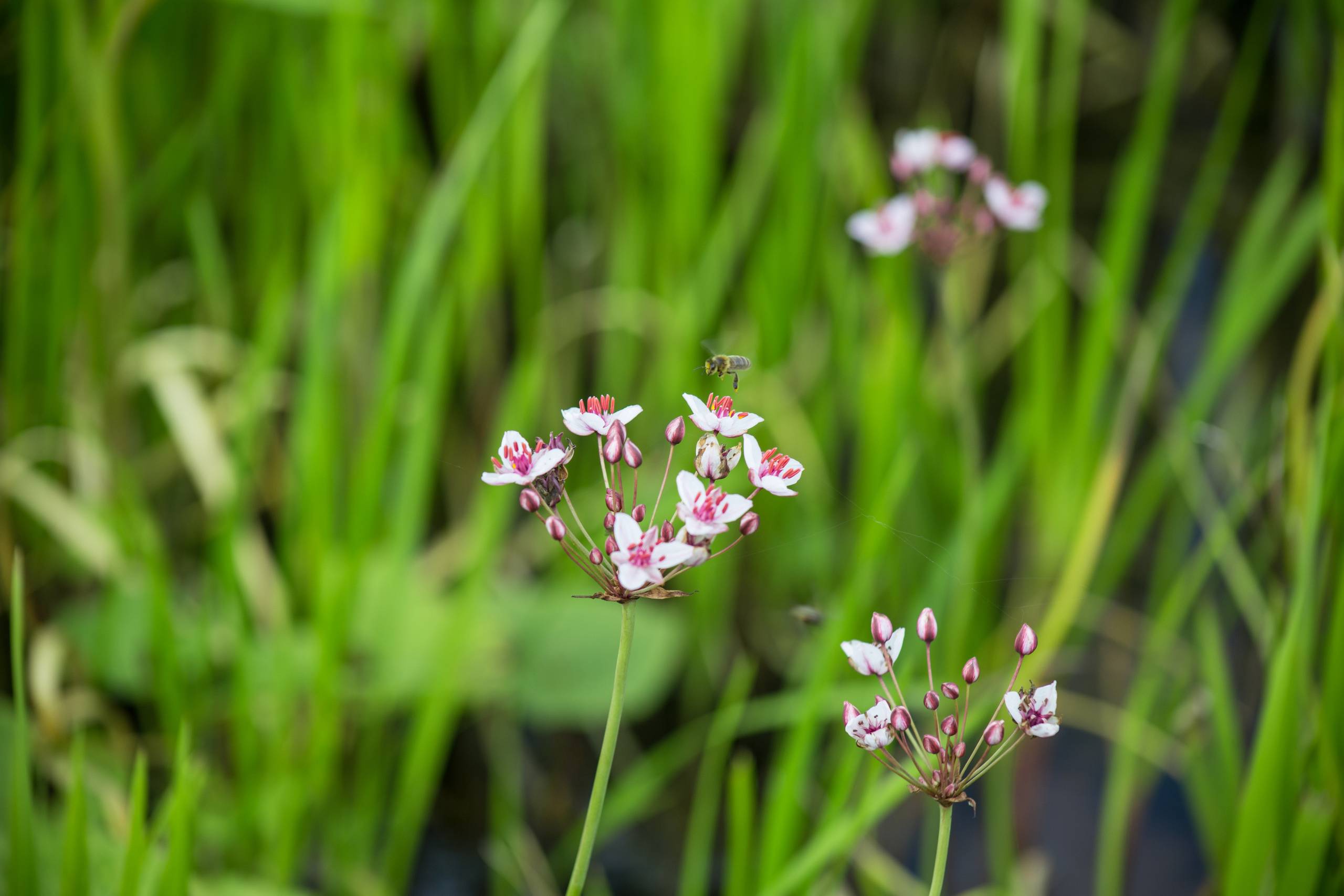 Виды Перми и окрестностей. Фотограф Никита Попов. Фотограф Пермь. Фотосессия в фотостудии Перми и на свежем воздухе