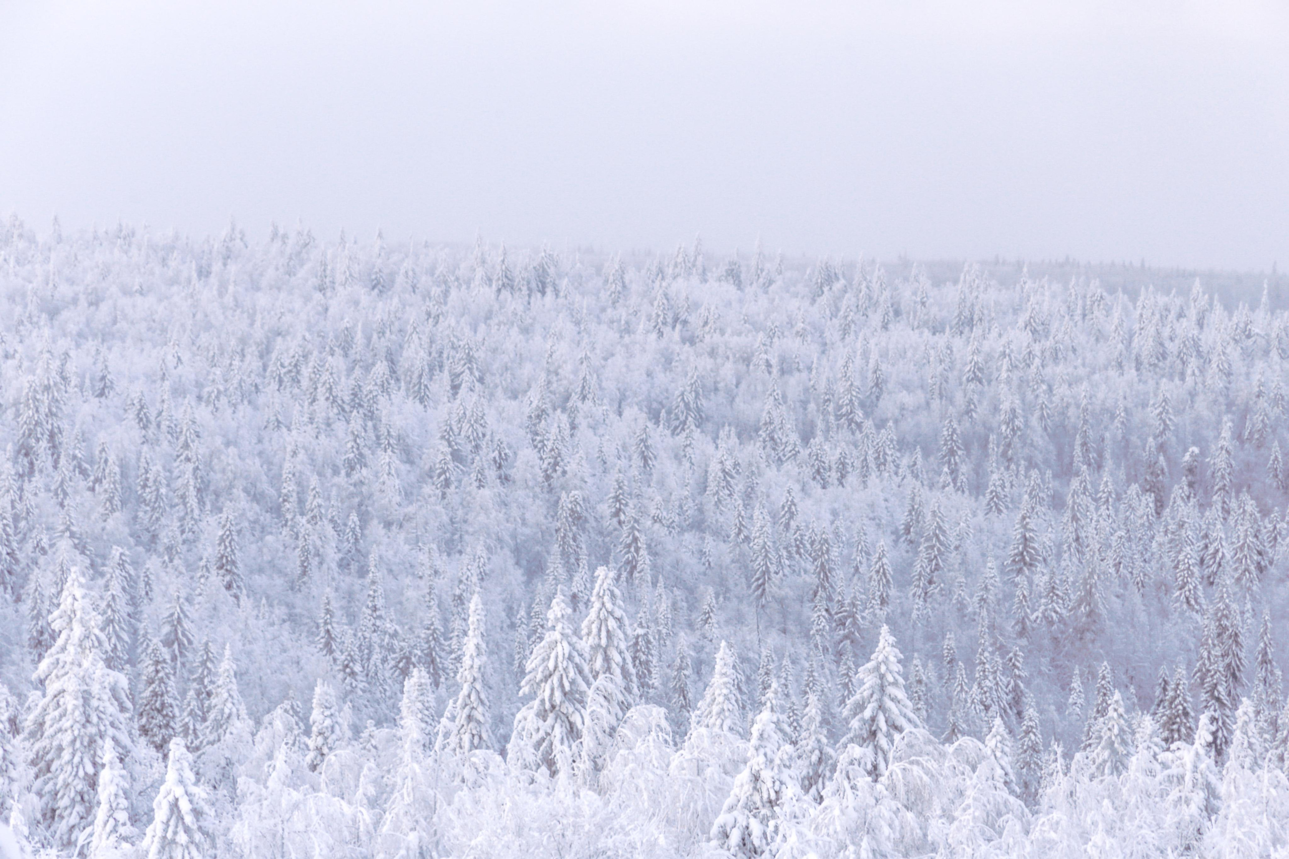 Виды Перми и окрестностей. Фотограф Никита Попов. Фотограф Пермь. Фотосессия в фотостудии Перми и на свежем воздухе