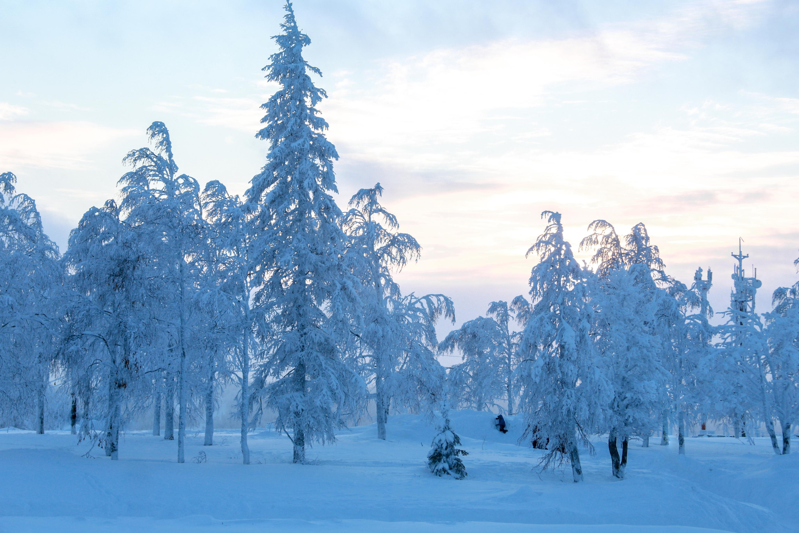 Виды Перми и окрестностей. Фотограф Никита Попов. Фотограф Пермь. Фотосессия в фотостудии Перми и на свежем воздухе