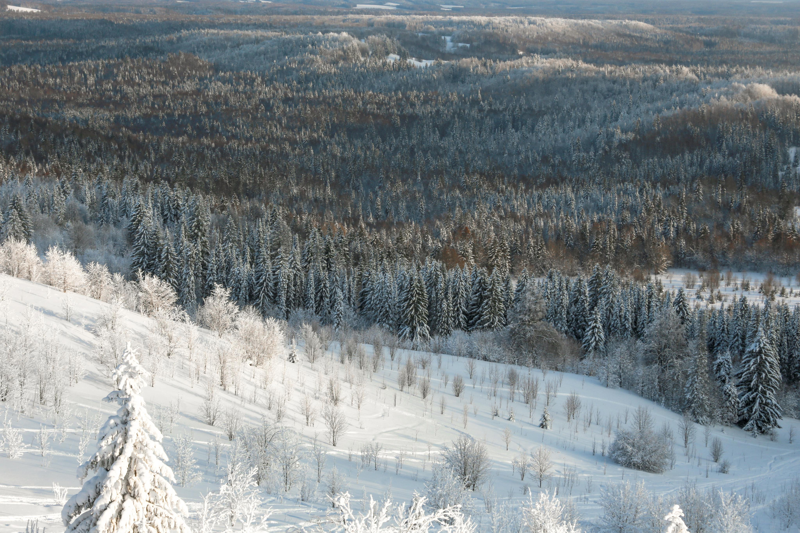 Виды Перми и окрестностей. Фотограф Никита Попов. Фотограф Пермь. Фотосессия в фотостудии Перми и на свежем воздухе