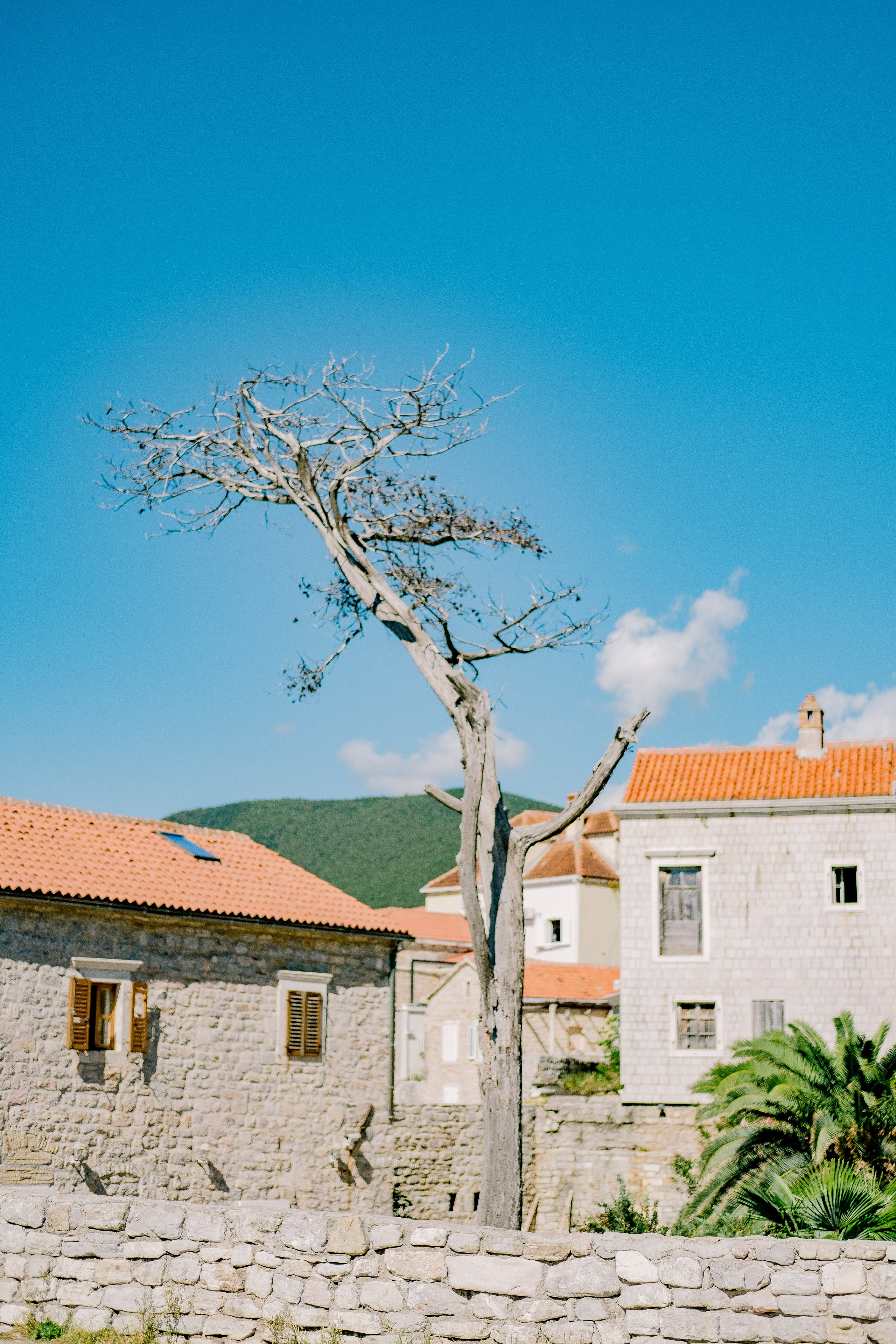 Черногория. Свадебный Видеограф Фотограф в Сочи