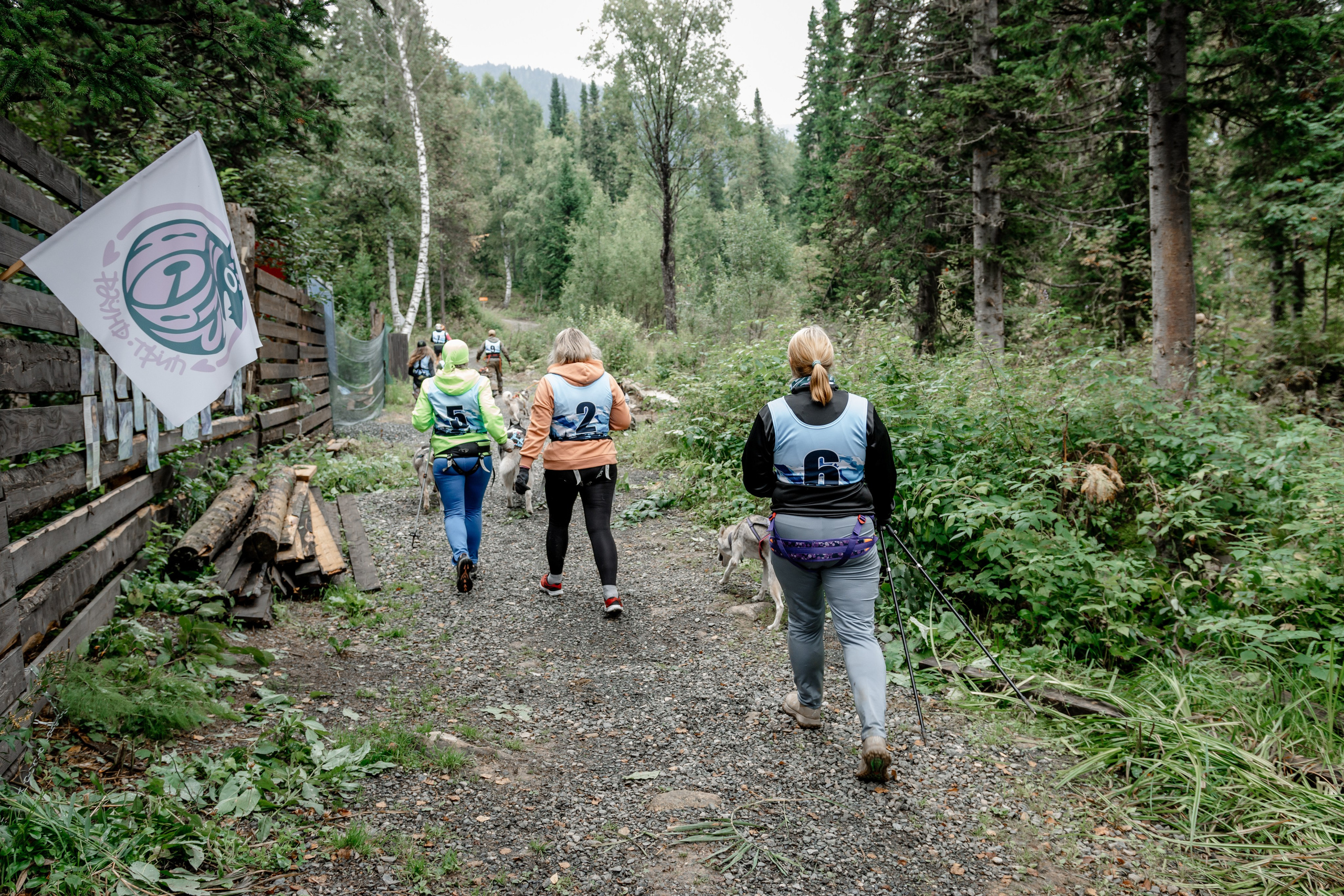 Дог-треккинг